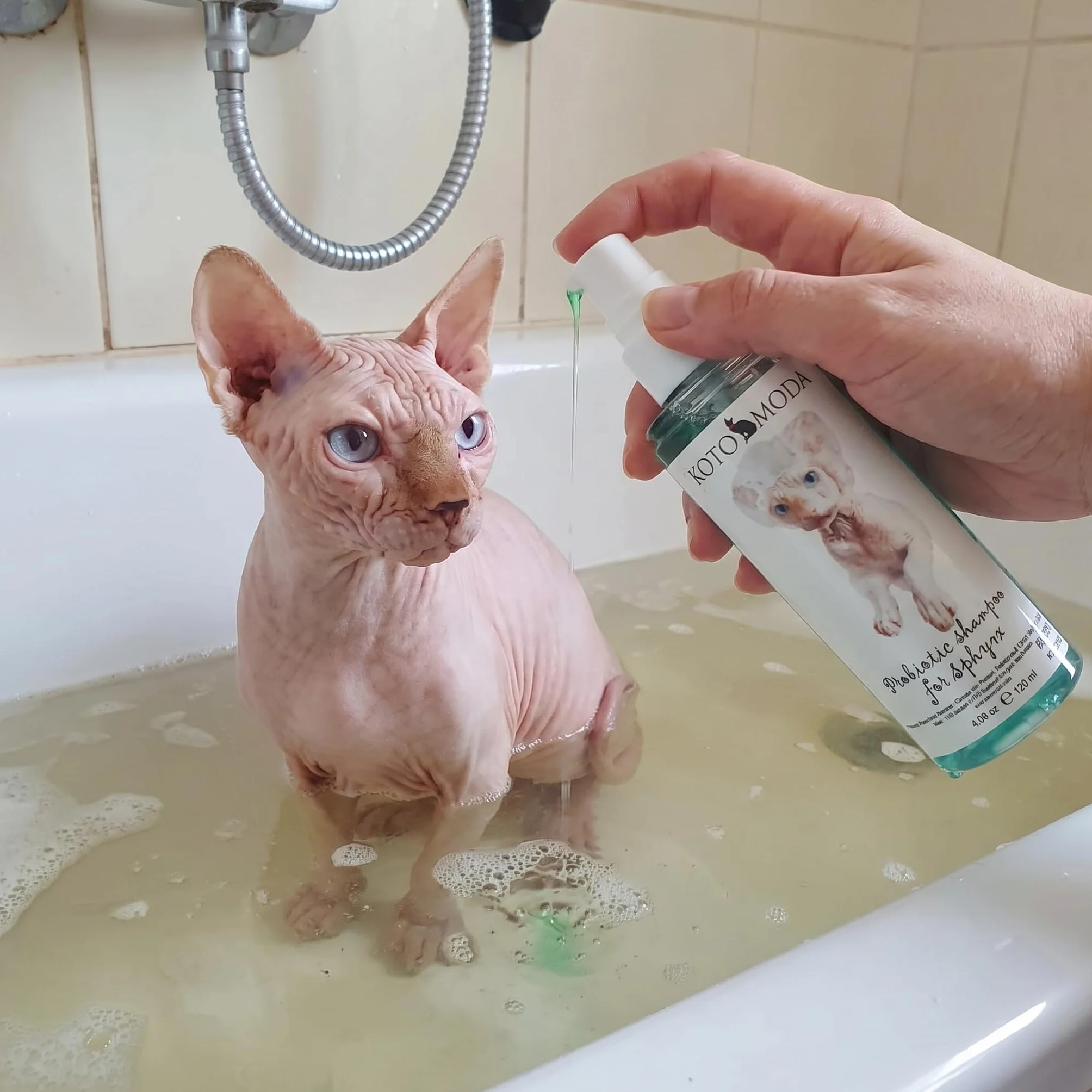 Szampon Probiotyczny dla Kotów Sphynx, 120 ml