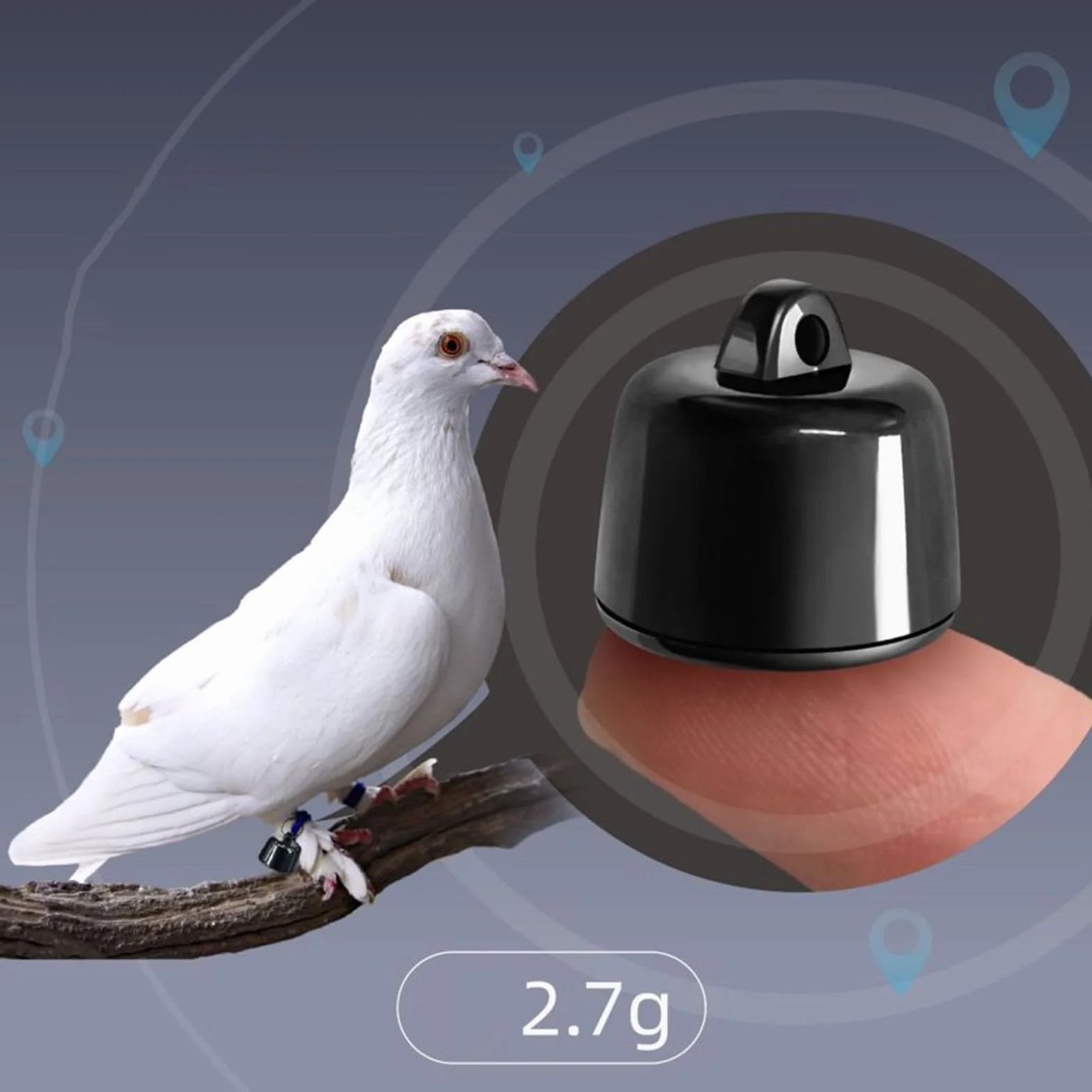 Lokalizator GPS dla psów i kotów, inteligentny przenośny, 1,10 x 0,67 cm