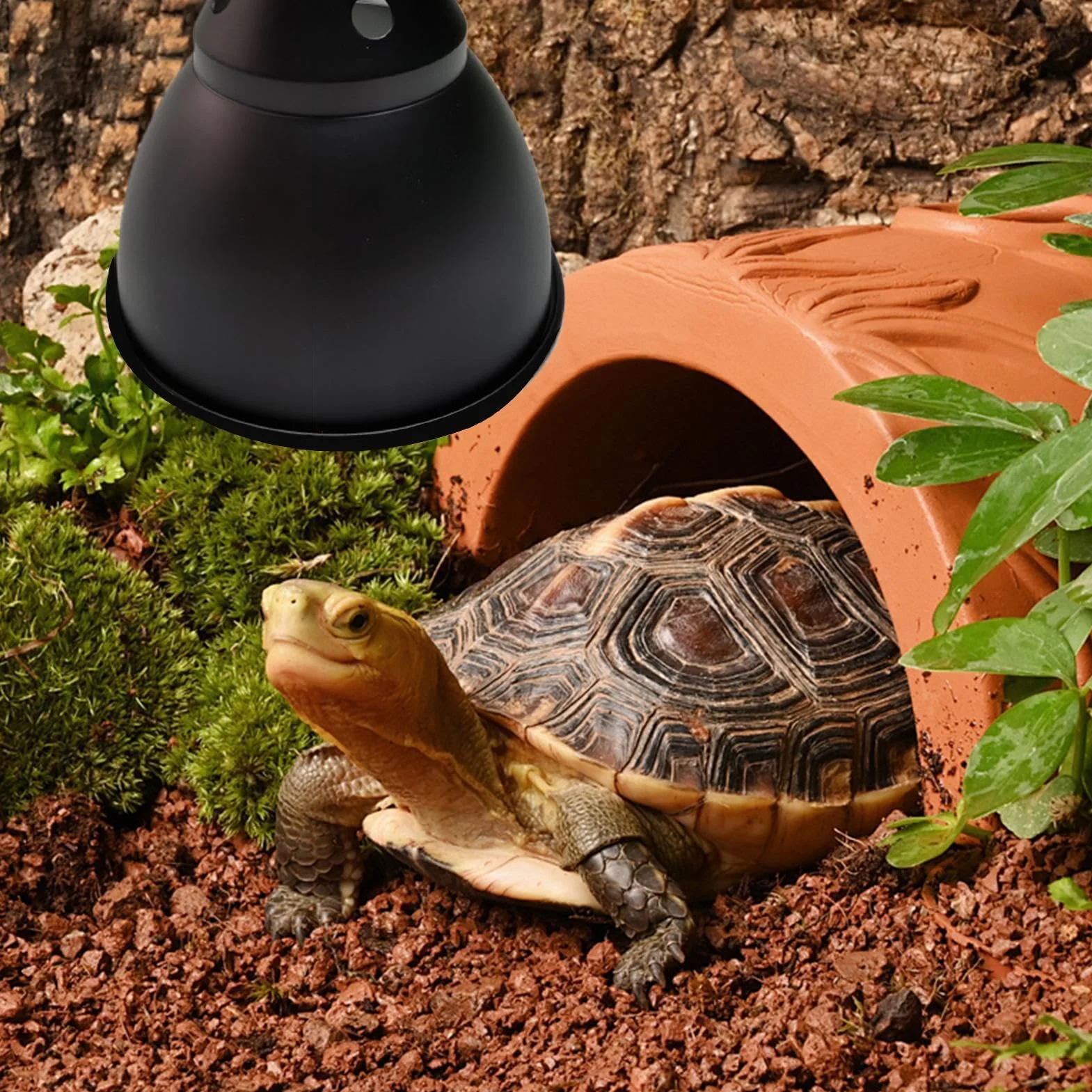 Oprawa lampy grzewczej dla gadów klosz z głęboką kopułą osłona odbicia optycznego do terrarium UVB