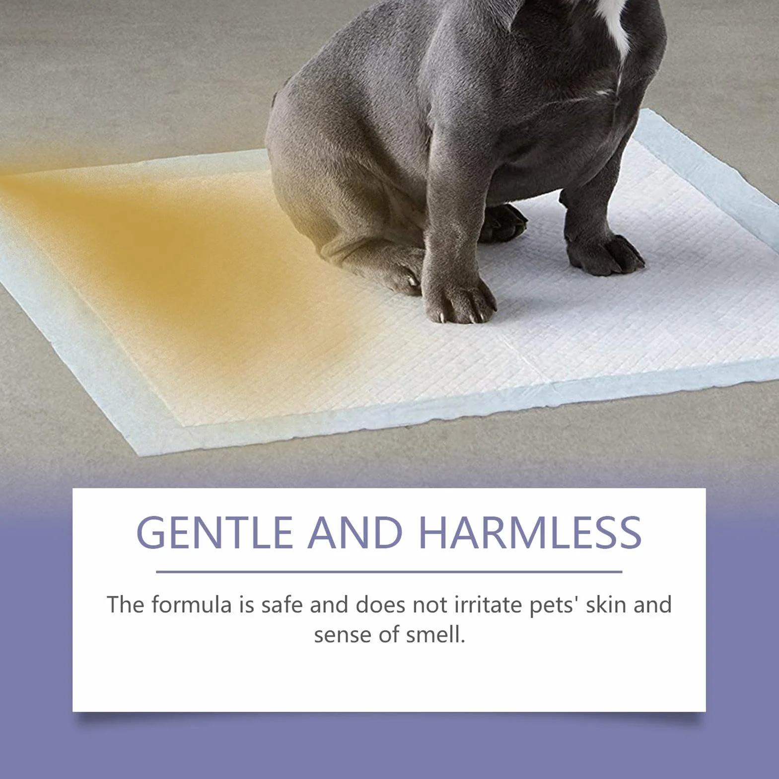 Dog Pee Training Spray, Puppy Potty Training Solution for Dogs