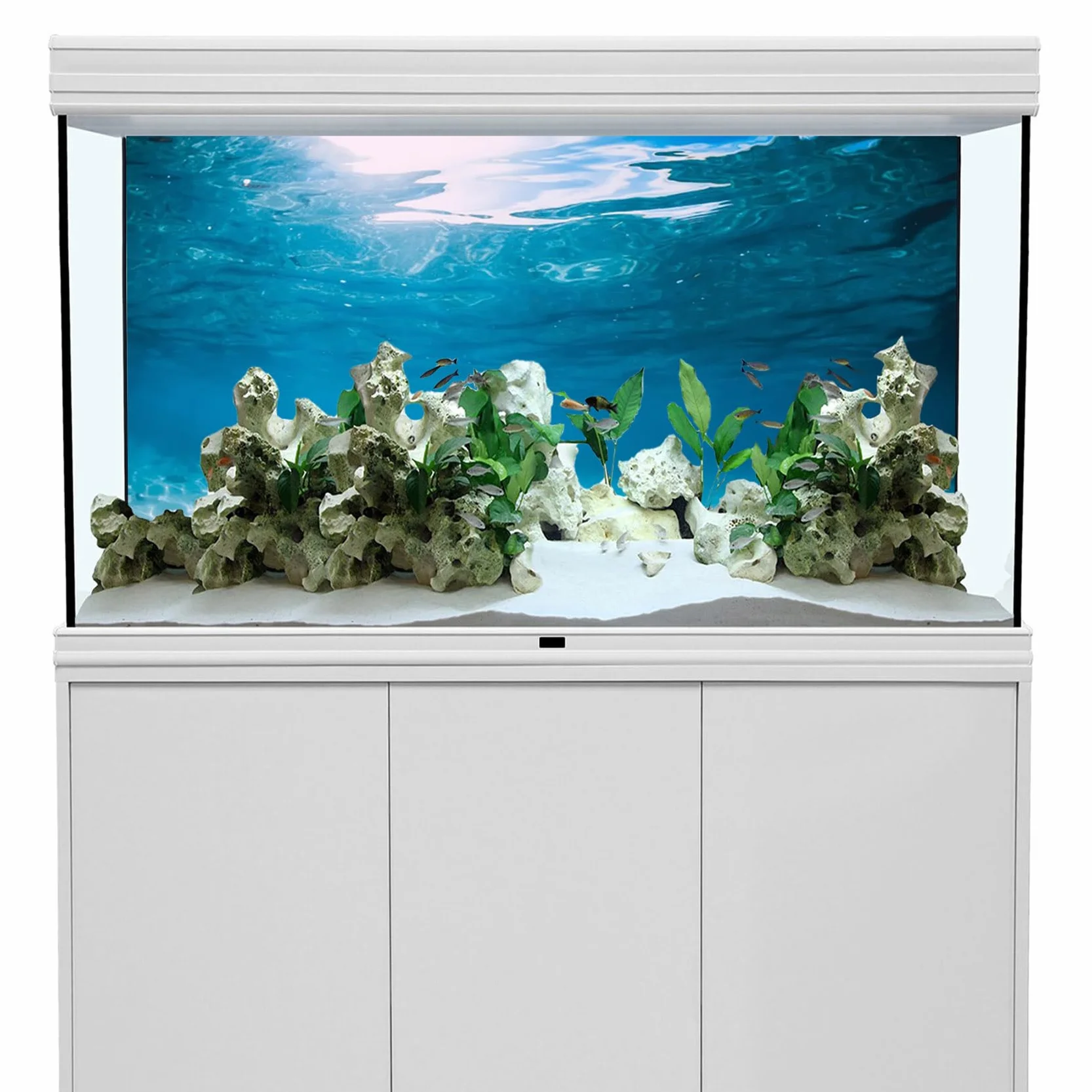 Plakat tło akwarium podwodny świat ocean 180 x 61 cm dekoracja
