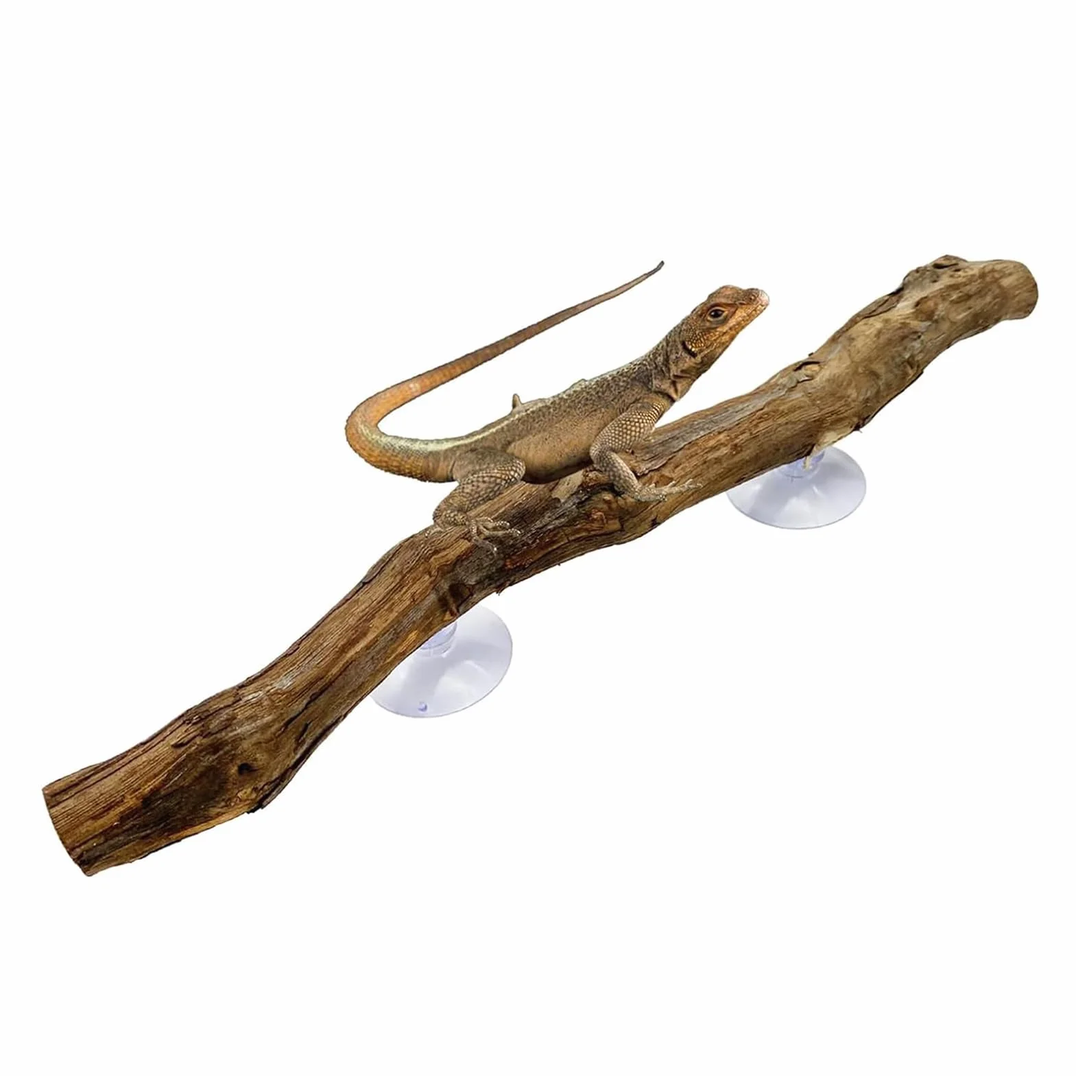 Dekoracja wspinaczkowa dla gadów, naturalne drewno winogronowe, antypoślizgowe siedlisko, 30 cm