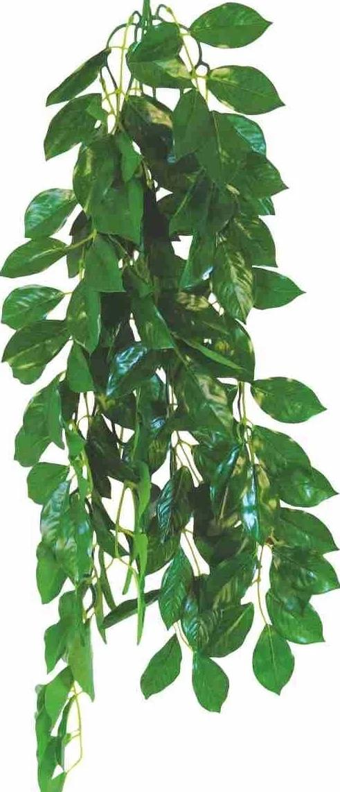 Happet Terra Sztuczna roślina Terra Ficus 50 cm – Tradescantia Zebrina Spiderwort, wisząca dekoracja do terrarium z przyssawkami – realistyczna kryjówka dla gadów, trwała i łatwa w czyszczeniu