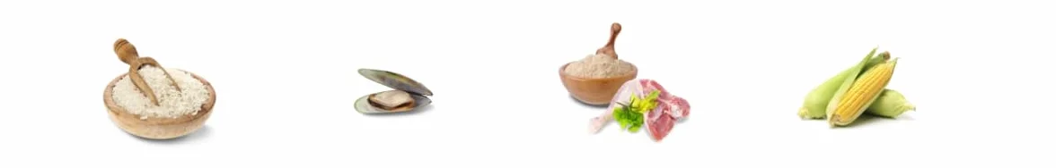 JosiDog Adult Sensitive 2,7 kg sucha karma dla psów wrażliwych