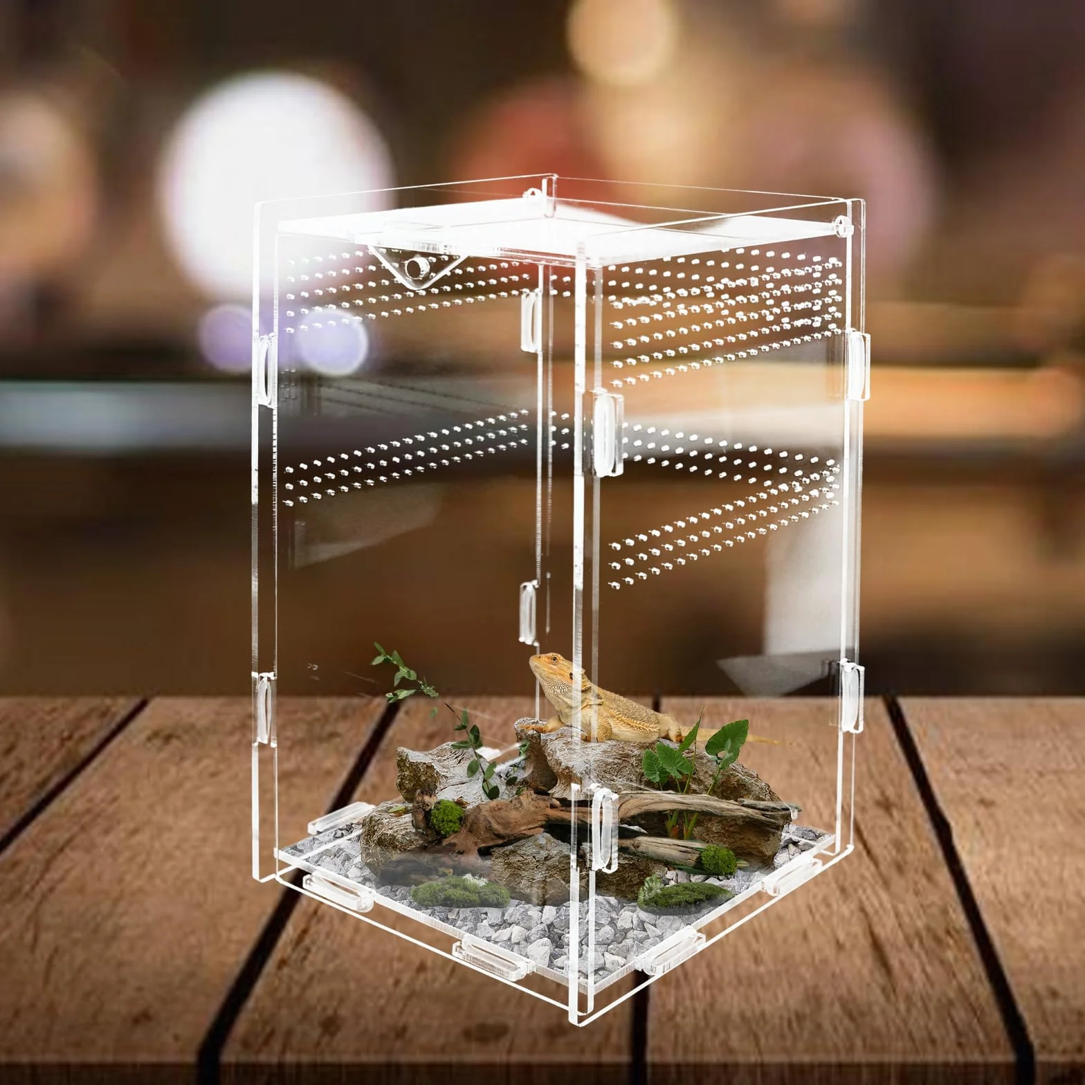 Akrylowe terrarium, pająk do terrarium, pudełko do hodowli i karmienia 12x12x20 cm