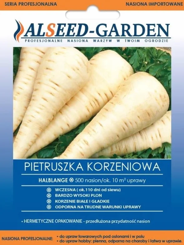 PIETRUSZKA KORZENIOWA HALBLANGE WCZESNA ODPORNA NASIONA HOLENDERSKIE 500SZT