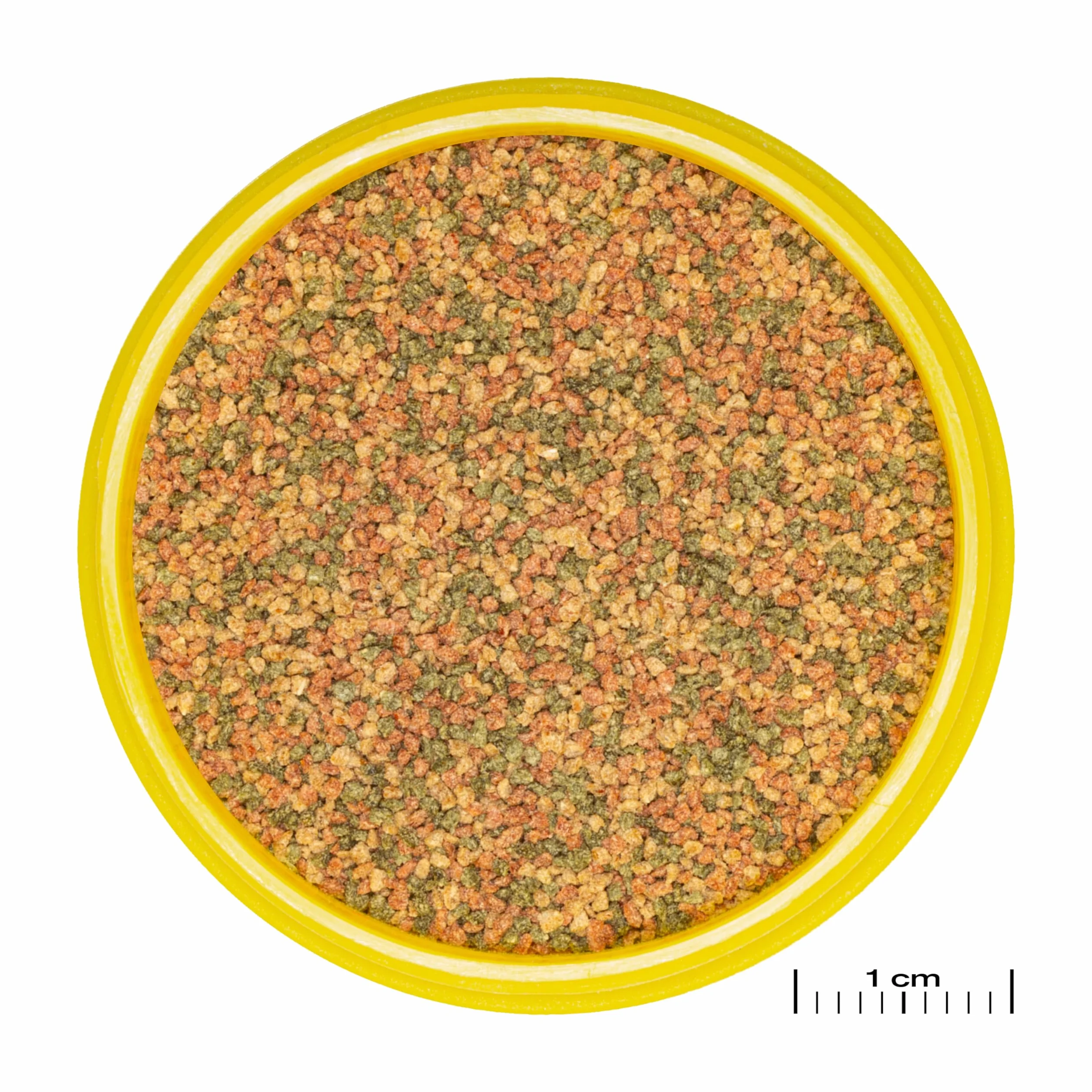 JBL PRONOVO BEL GRANO, podstawowa karma dla wszystkich Ryb akwariowych 3-5 cm, granulat rybny, dozownik na kliknięcie, rozmiar XS, 100 ml