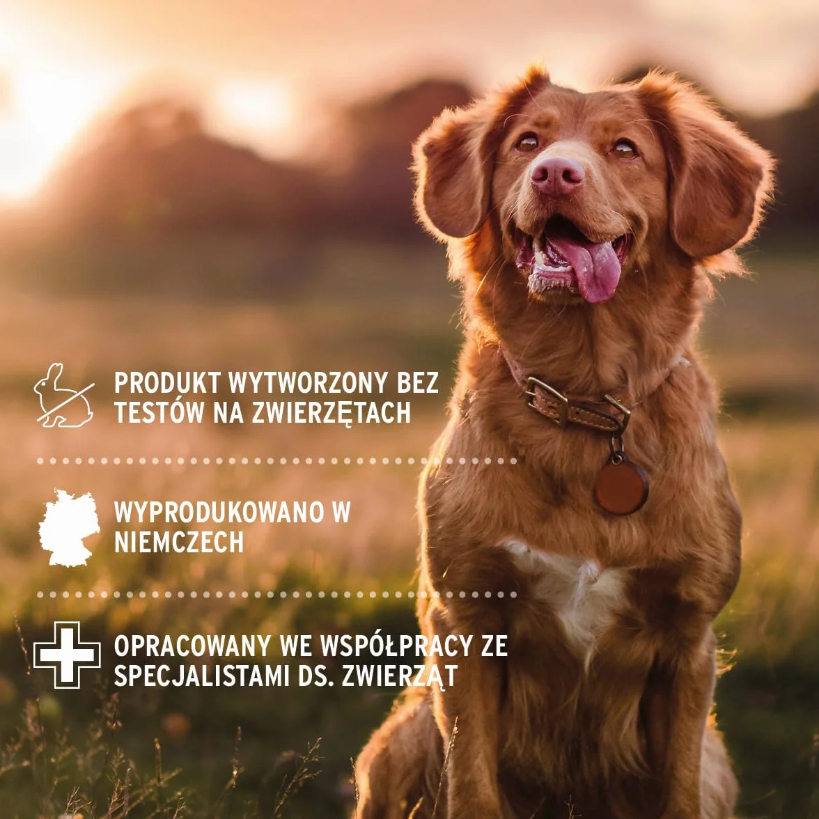 AniForte Spray Pielęgnacyjny do Sierści Kokos 200 ml – olej kokosowy, nawilżenie, połysk