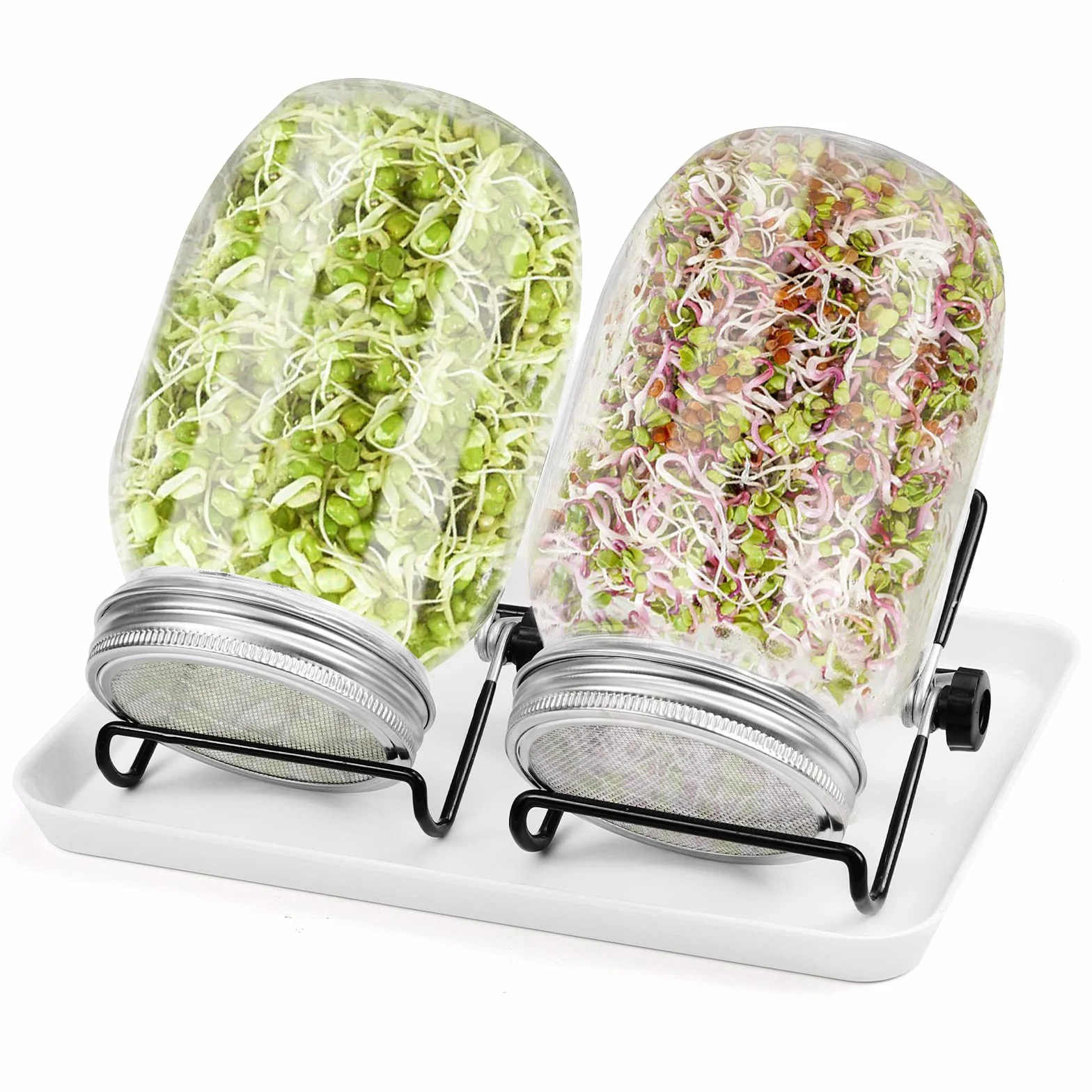Diealles Shine Kieliszek do kiełkowania, 2 x 950 ml słoik na kiełki z 2 regulowanymi mocowaniami, 2 filtry ze stali nierdzewnej, 1 talerz plastikowy, słoik do kiełków, do hodowli kiełków
