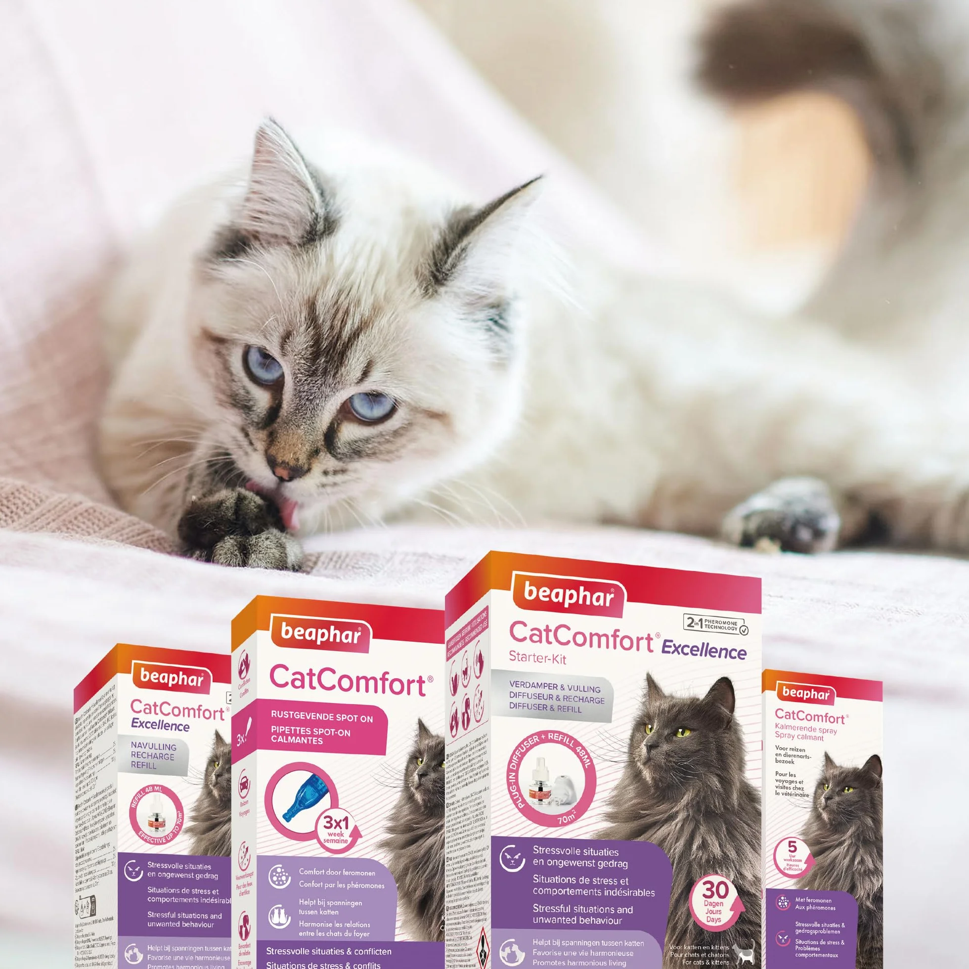 Beaphar CATCOMFORT feromonowy spray uspokajający dla kota 30 ml