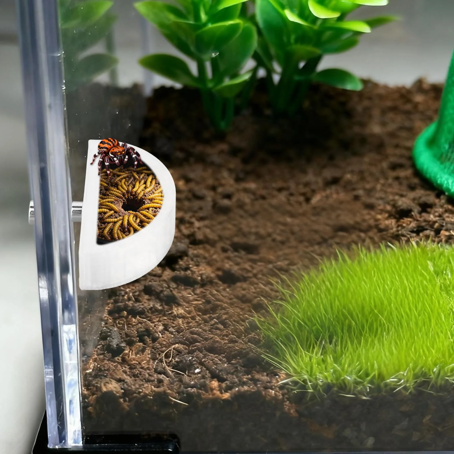 Magnetyczny Półokrągły Karmnik dla Pająków Skaczących Miseczka na Wodę Szczelna Akcesoria do Terrarium