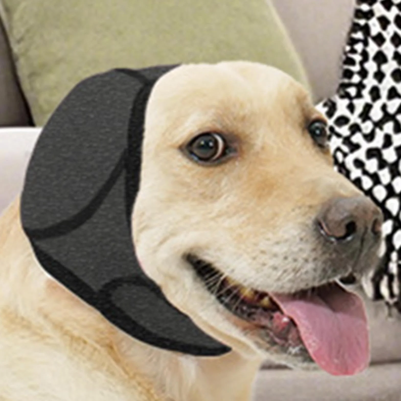 Wodoodporne nauszniki dla psów – ochrona przed hałasem, antypoślizgowe, regulowane