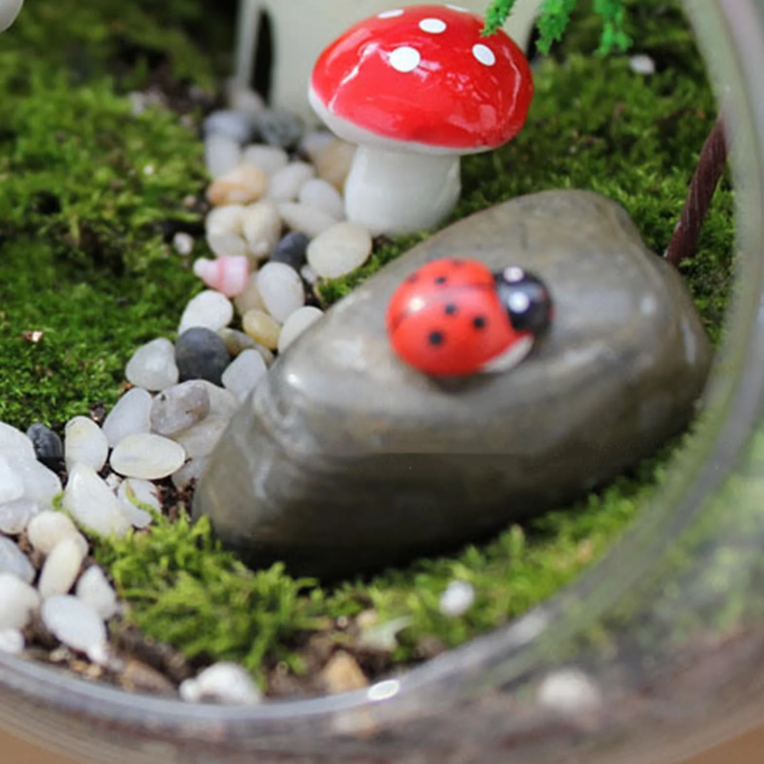 Uko?ne ci?te miski, szklany wazon doniczk?, dekoracyjny wazon z?ot? rybk?, przezroczyste terrarium, ryby, wazon w kszta?cie kuli, szklany wazon sto?owy w nowoczesnym wzornictwie