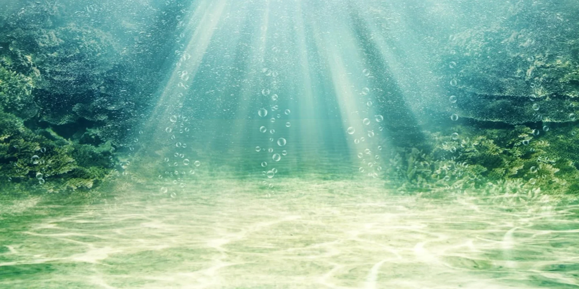 120 x 50 cm tło akwarium roślina wodna bańka podwodna podłoga oceanu akwarium plakat tło winylowe tło