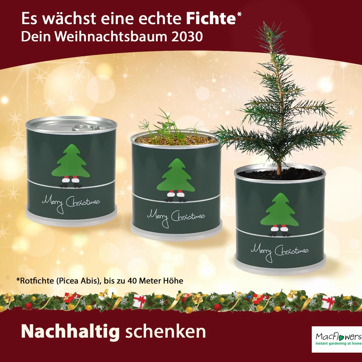 Choinka w puszce – 4 x choinka mieszana