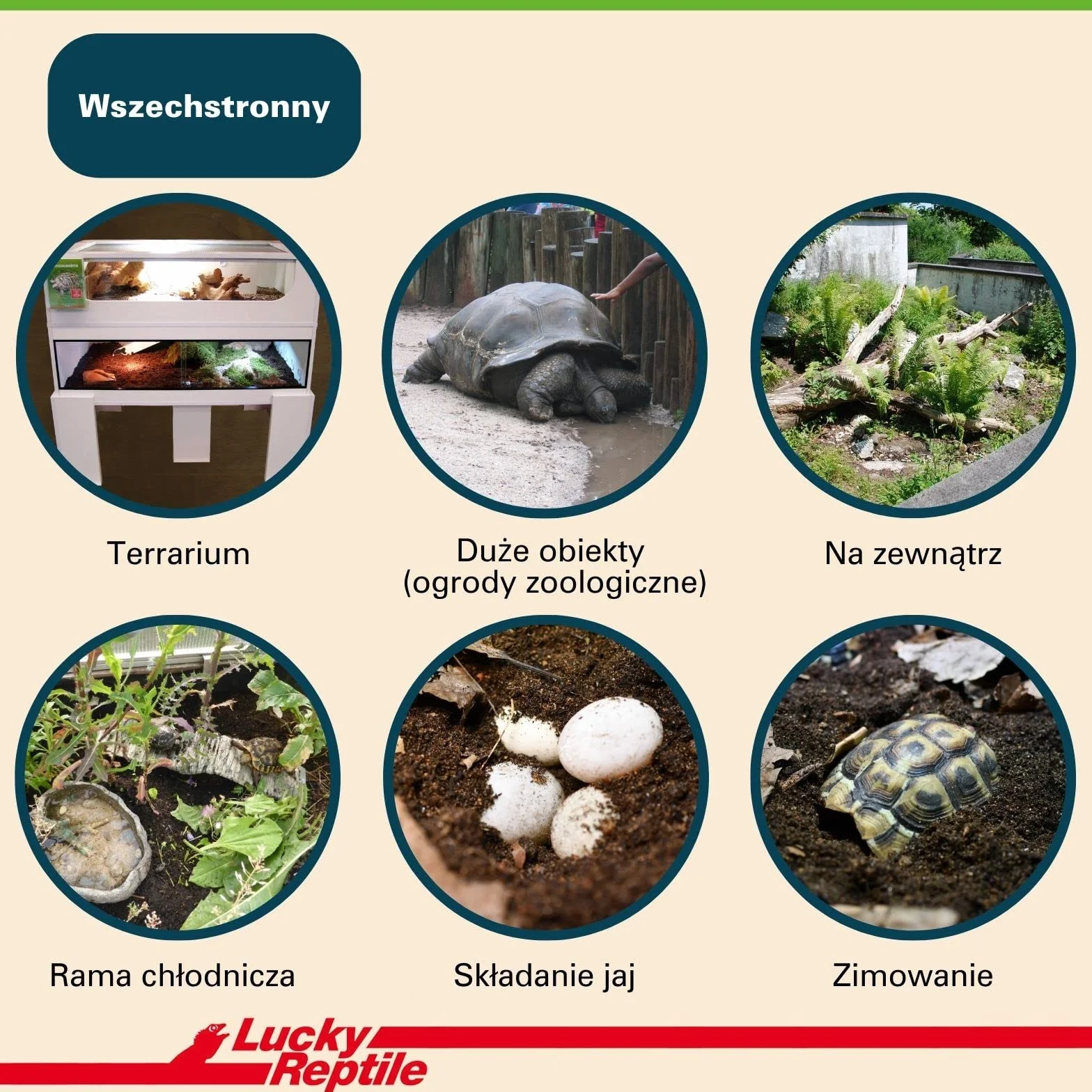 Lucky Reptile 65131 Ziemia dla Gadów i Płazów, 20 l