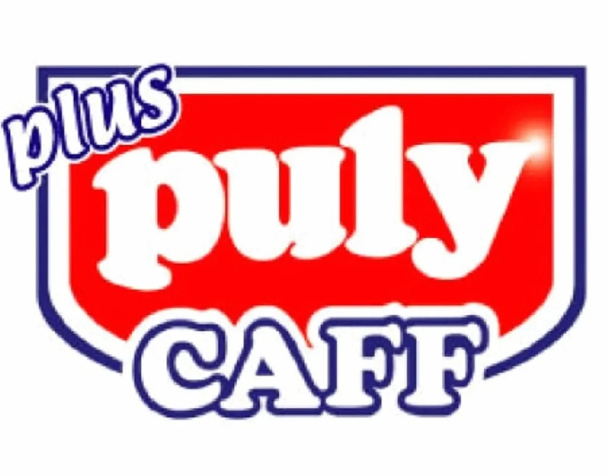 Puly Caff Plus środek do czyszczenia grup 370 g