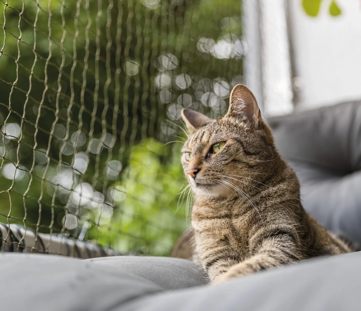 Trixie siatka ochronna wzmocniona drutem 4 × 3 m oliwkowa zieleń