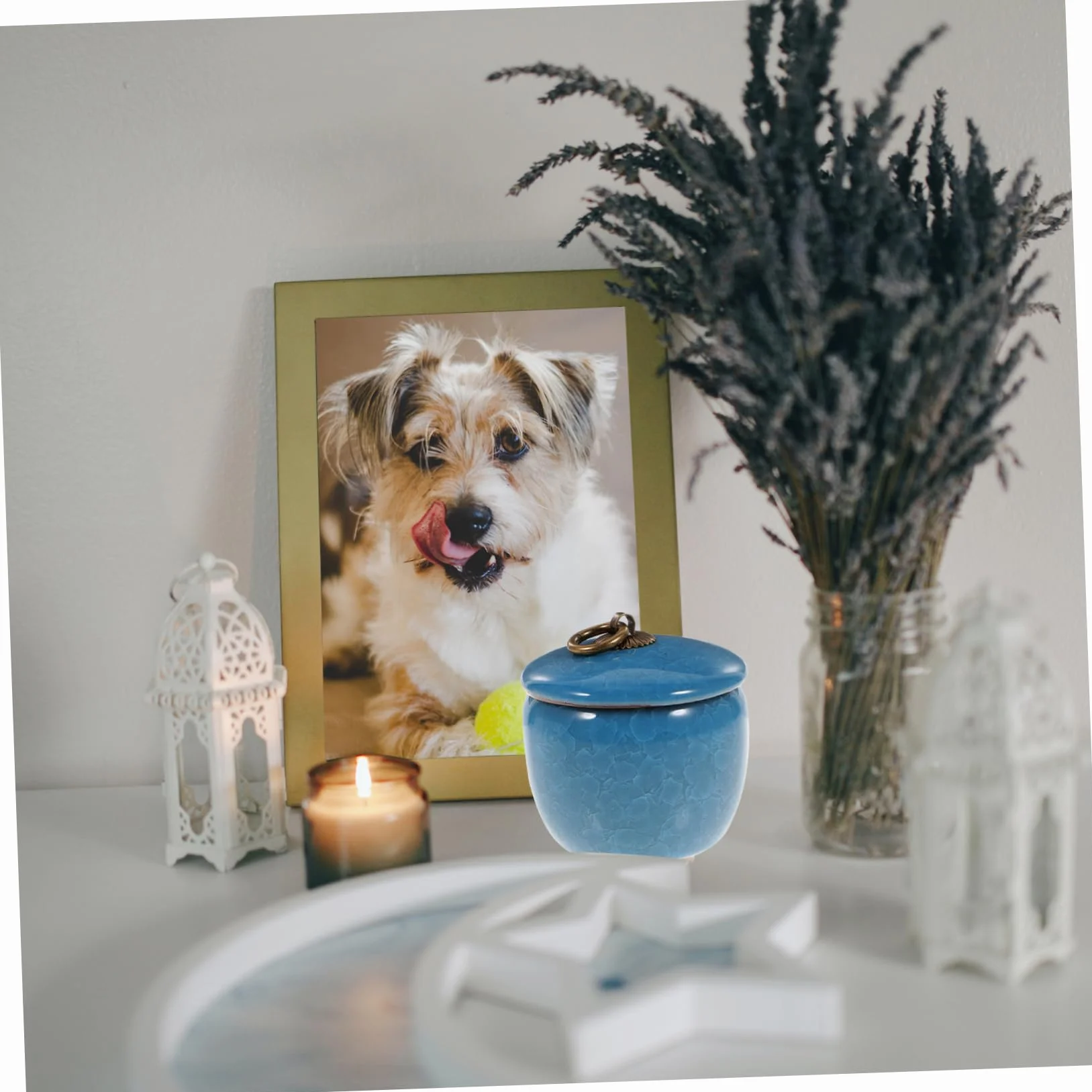 FRCOLOR Ceramiczna popielniczka dla zwierząt domowych, porcelanowy kufel na popiół, zamknięty pojemnik