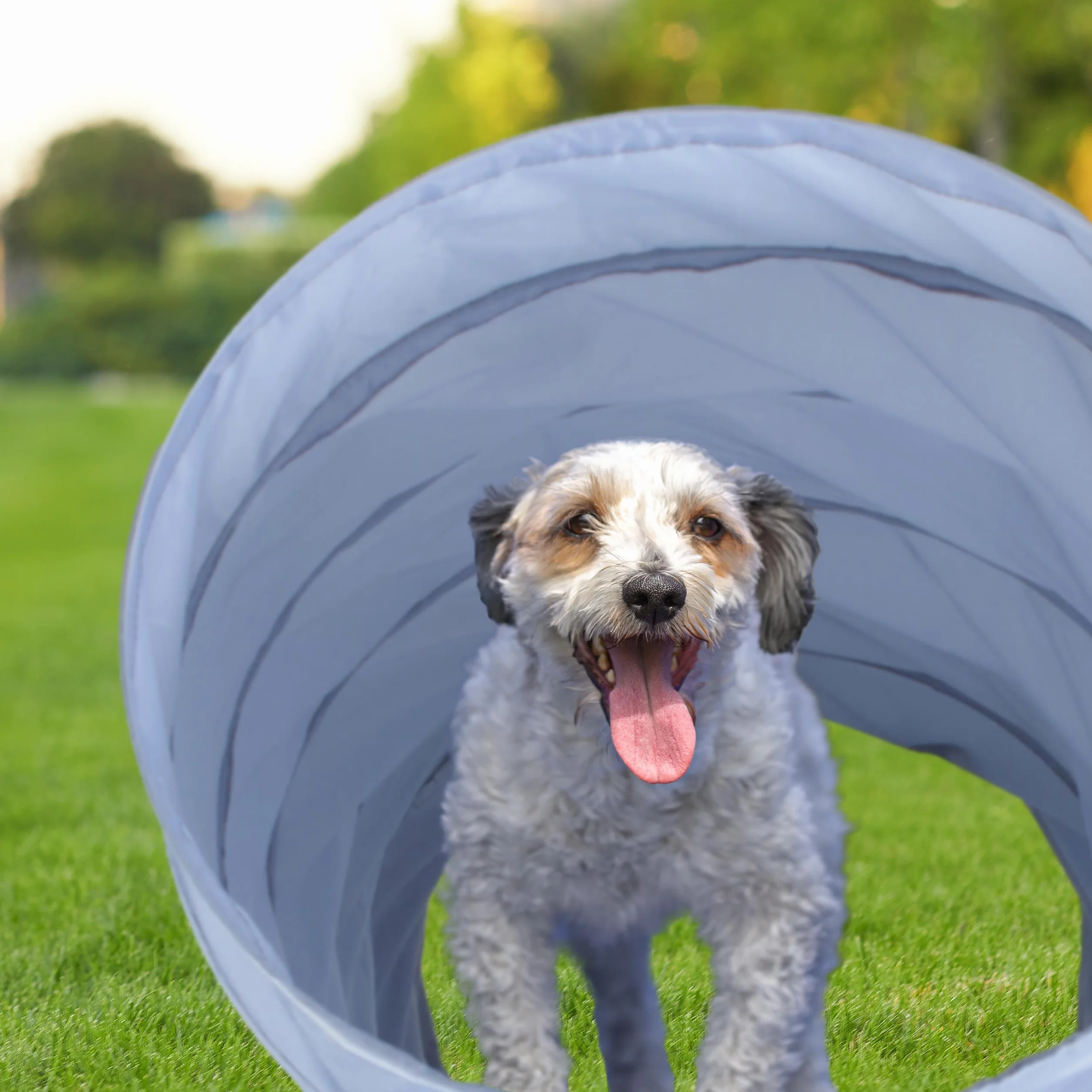 Relaxdays Hundetunnel 2 m składany tunel dla psa Ø 40 cm szary poliester