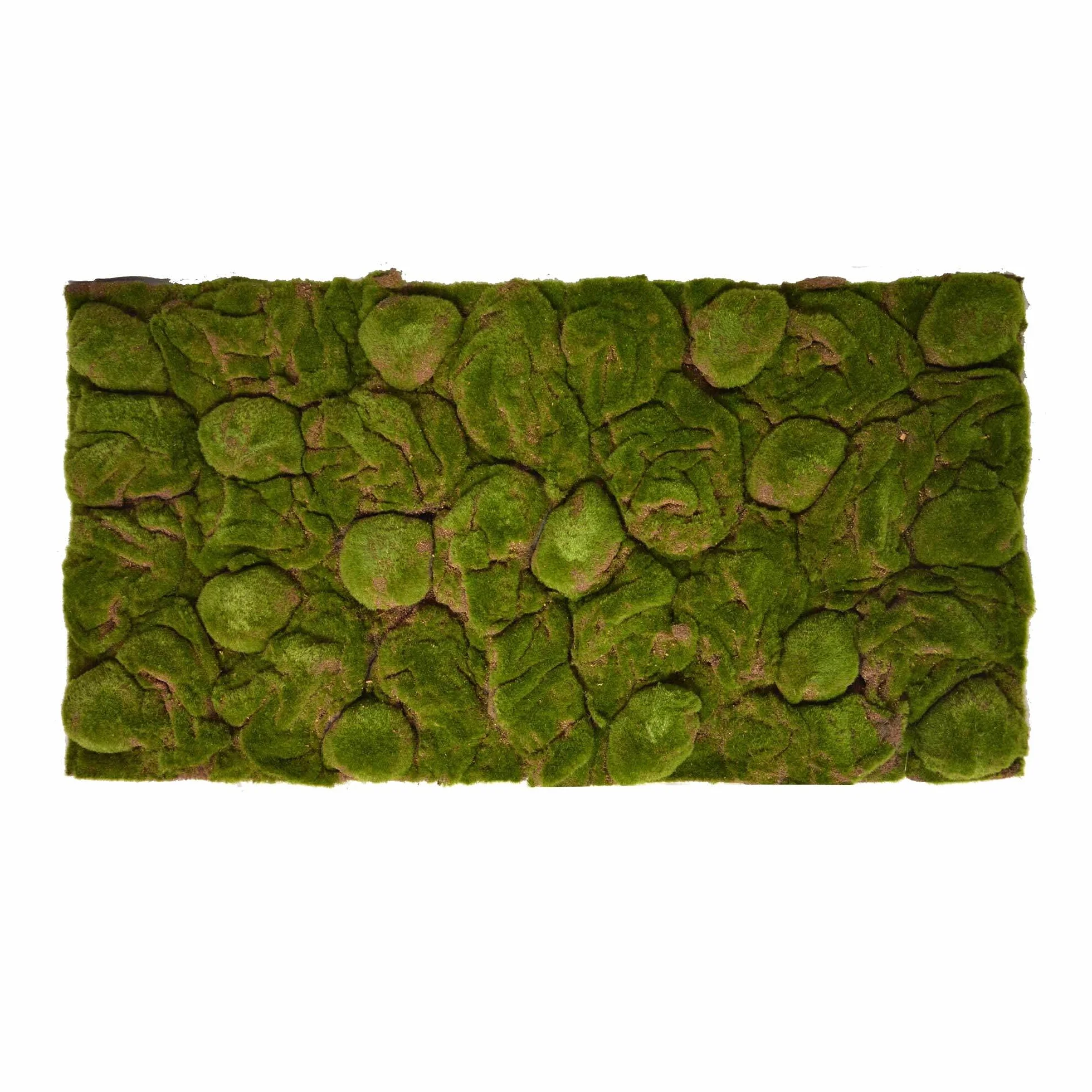 REPITERRA Terrarium tylna ściana 3D dekoracja tła naturalny mech 116 x 58 cm
