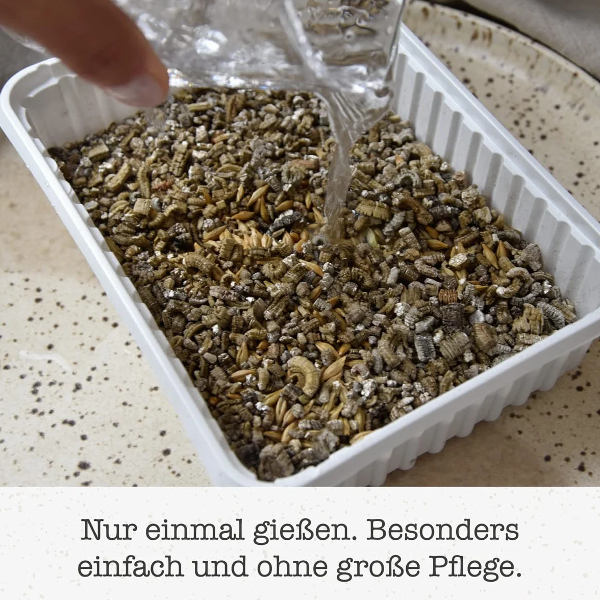 Gimcat Hydro-Grass Trawa dla Kotów, 150 g