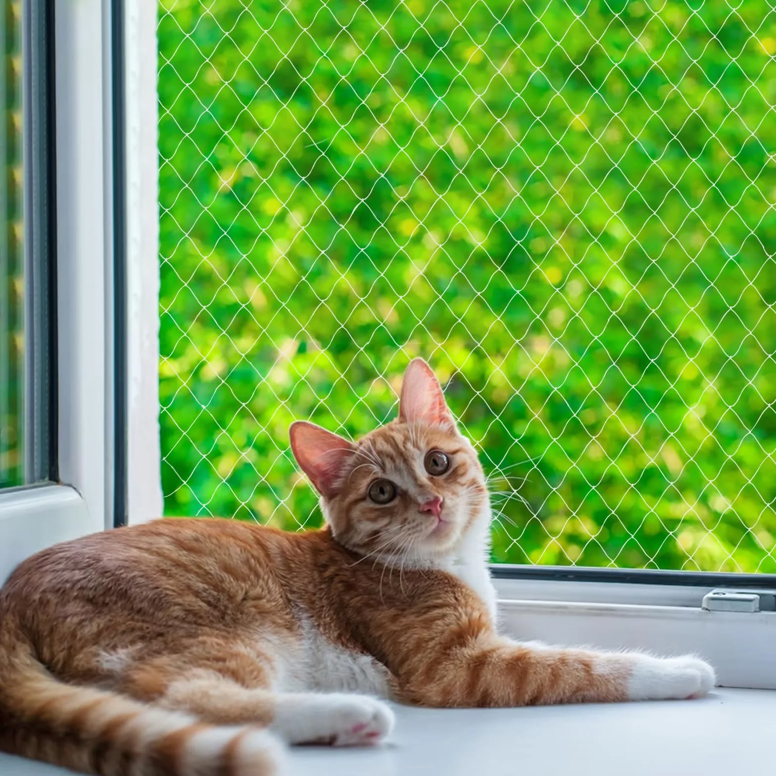 Nylonowa siatka ochronna dla kotów na balkon przezroczysta odporna na ugryzienia 3 x 4 m