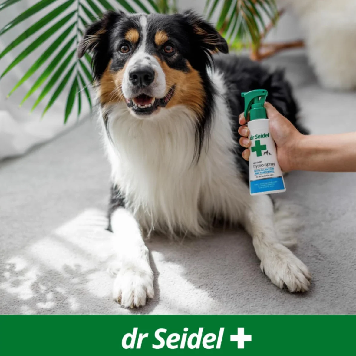 Hydro-Spray Świąd Stany Zapalne 100 ml