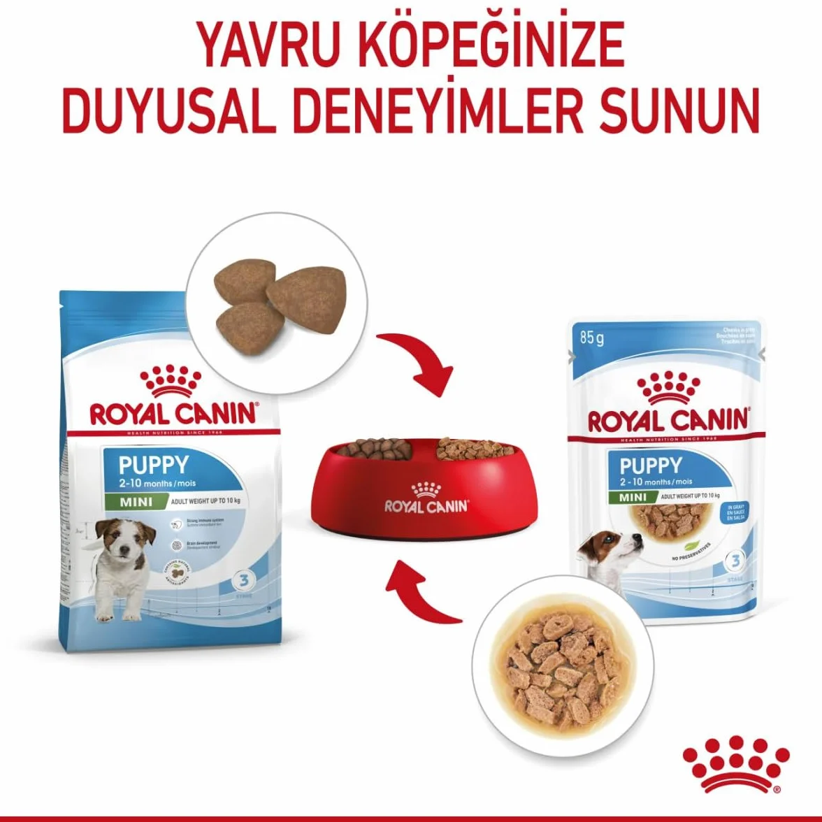 Royal Canine Puppy Mini Pudełko 1000 g
