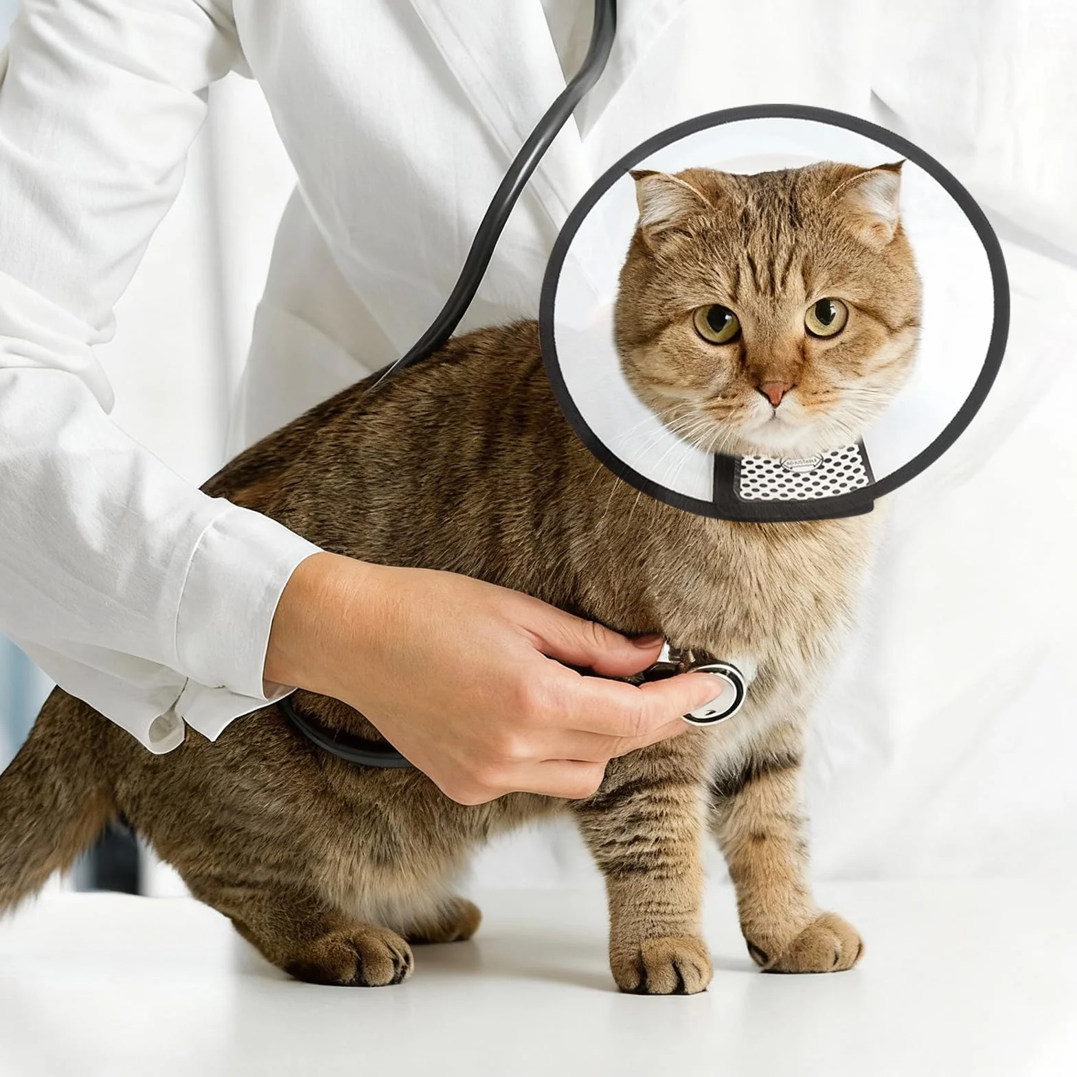 VOSSOT Pet Cone Recovery, obroża dla kotów, ochrona przed przeciekaniem, lekki kołnierz ochronny z tworzywa sztucznego, higieniczny kołnierz dla zwierząt domowych po operacji, miękki dla kotów i