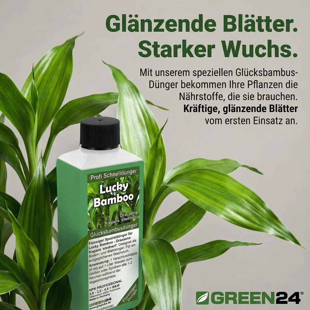 GREEN24 Lucky Bamboo nawóz na szczęście, specjalny nawóz High-TTech NPK, profesjonalna linia do nawożenia bambusa Dracaena sanderiana