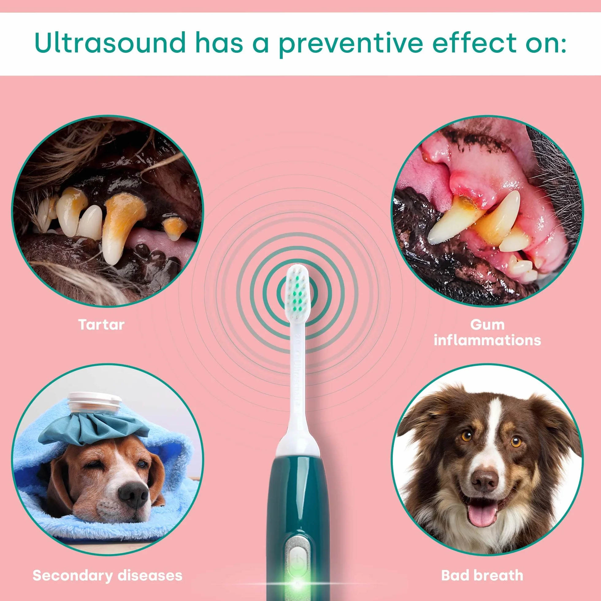 emmi-PET PRO Ultradźwiękowa szczoteczka do zębów dla psów I Cicha szczoteczka do zębów dla psów przeciwko kamienia zębnemu, płytce nazębnej i nieświeżemu oddechowi I Delikatna pielęgnacja zębów bez