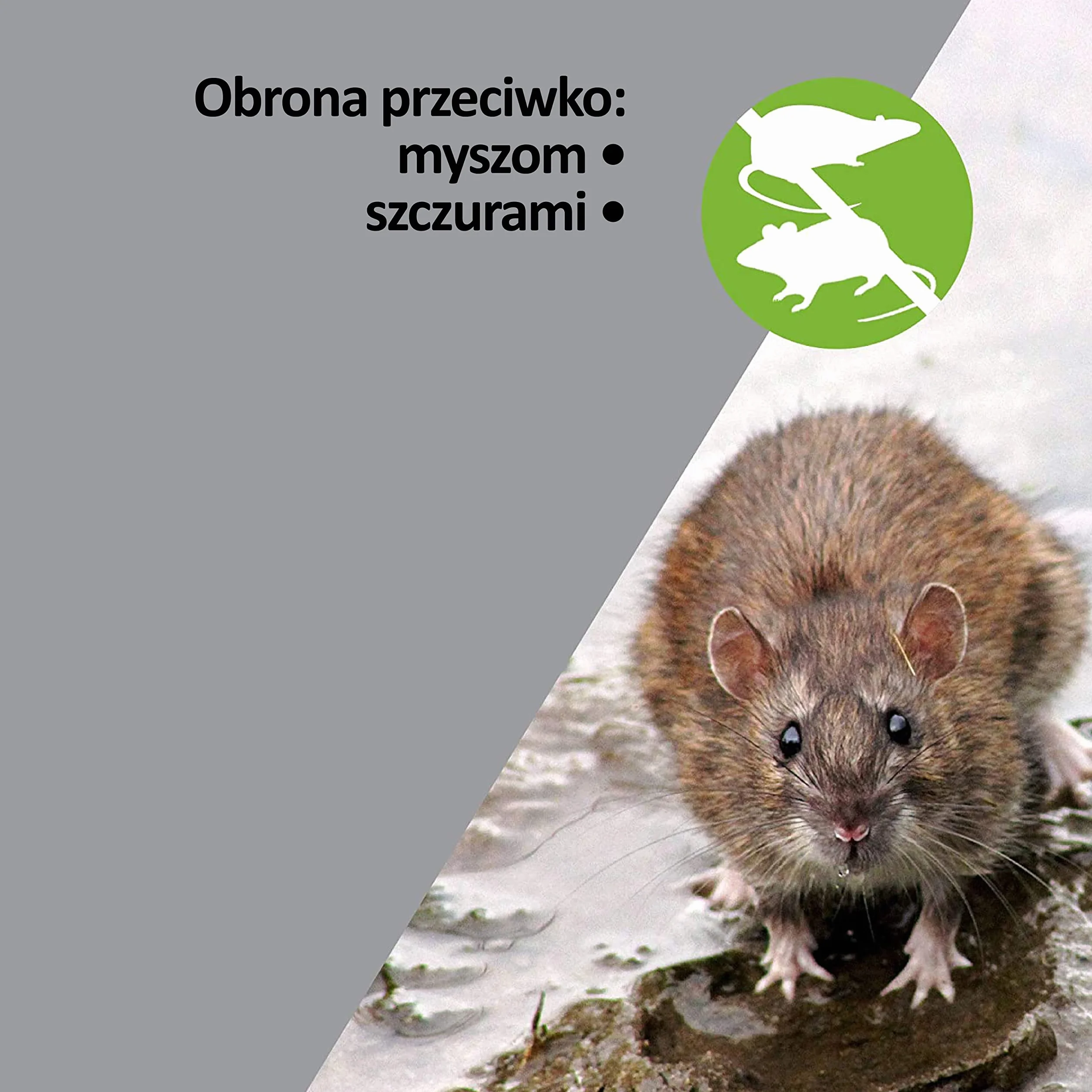 ISOTRONIC – 2-częściowy zestaw ultradźwiękowych odstraszaczy myszy i szczurów | zasilany bateriami odstraszacz myszy do piwnicy, na strychy, garaże itp. | przyjazny dla zwierząt i bezpieczny | obszar