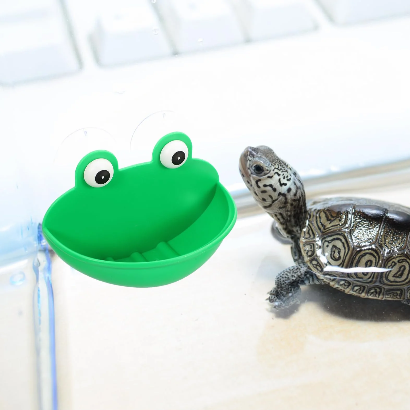 Stolik do odpoczynku dla zwierząt platforma terrarium dekoracja 4