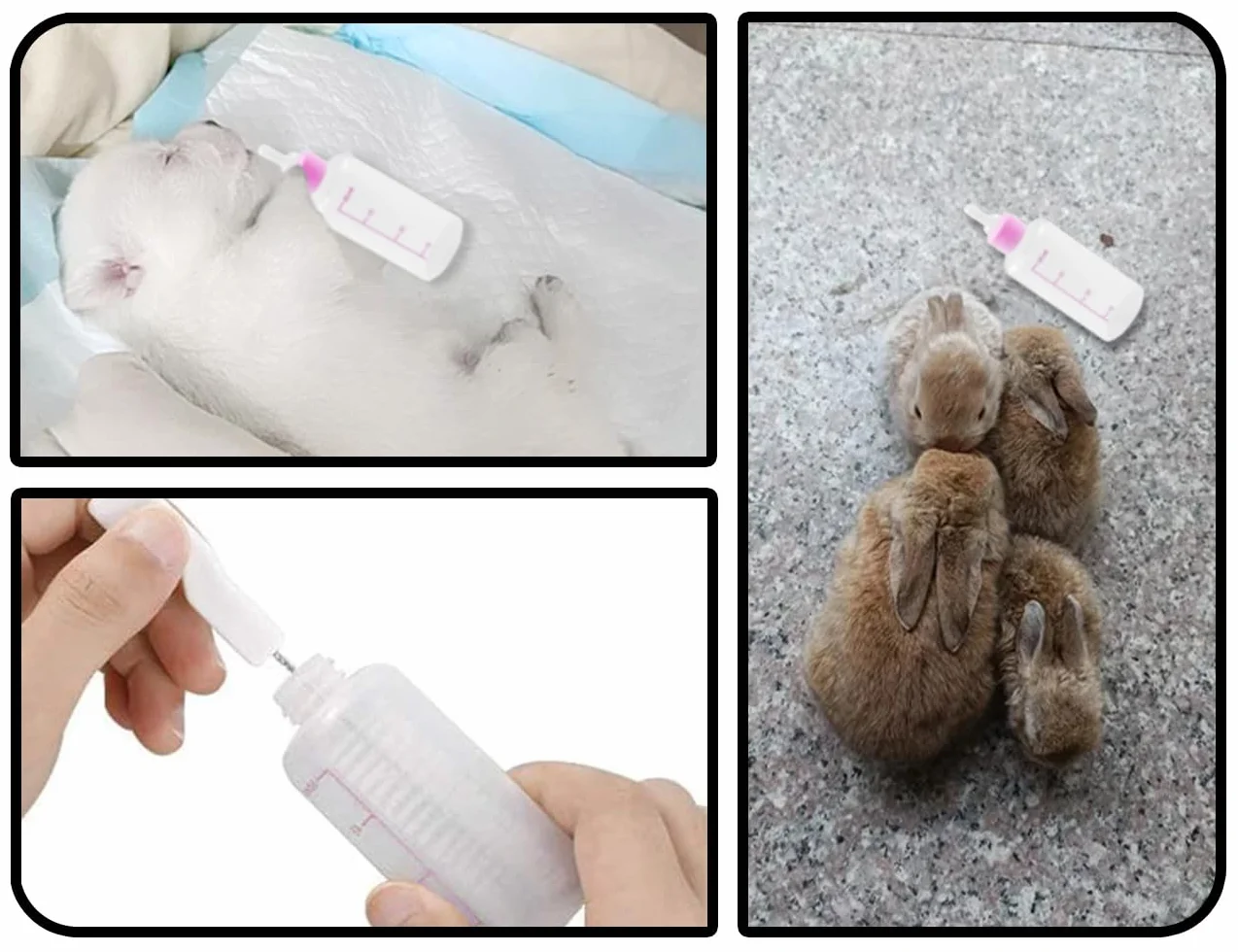 KAPSING Butelka do hodowli domowych 60 ml, dla małych kotów, psów, zestaw dla szczeniaków i kociąt (różowa)