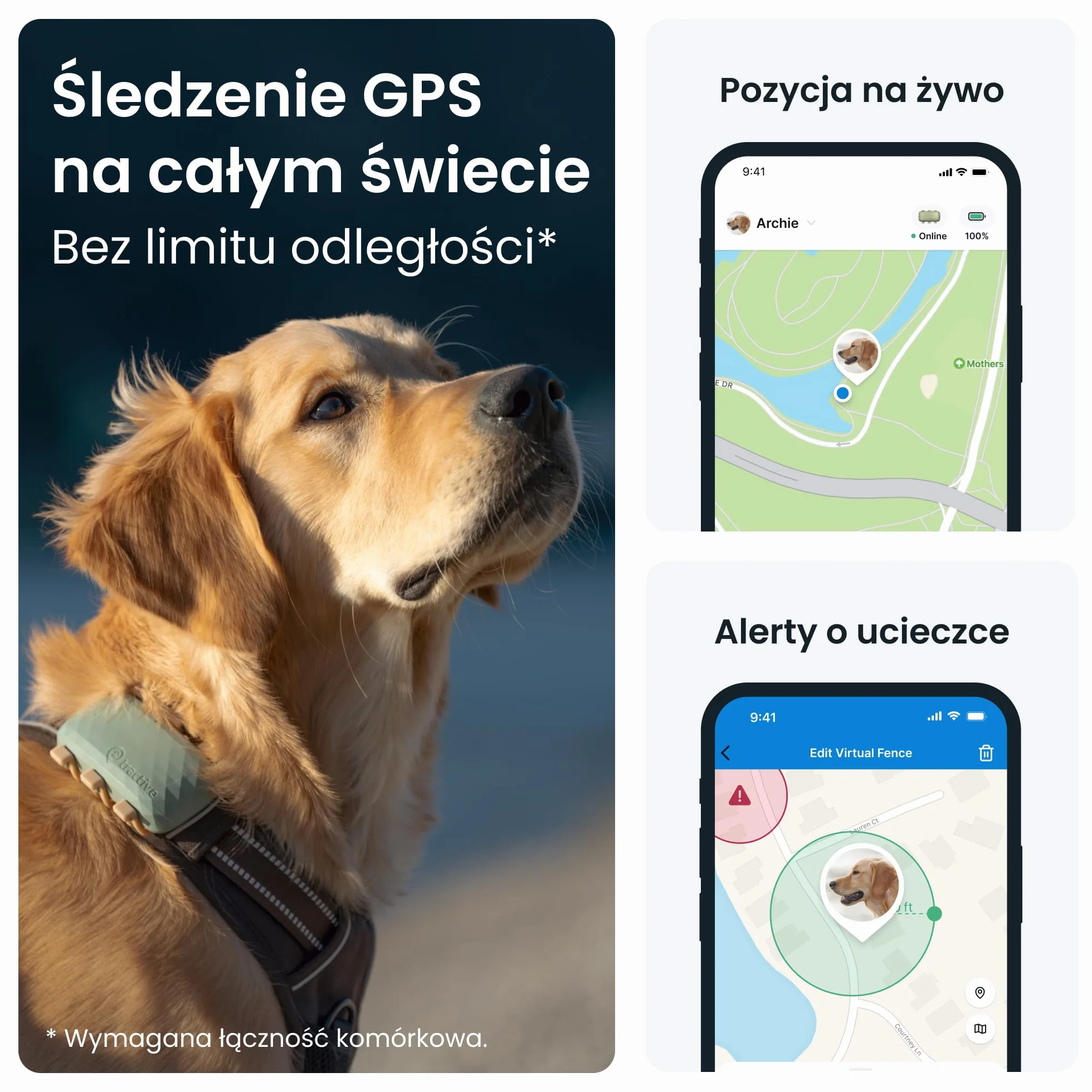 Tractive GPS XL Lokalizator dla psa Długi czas pracy baterii Śledzenie pozycji w czasie rzeczywistym