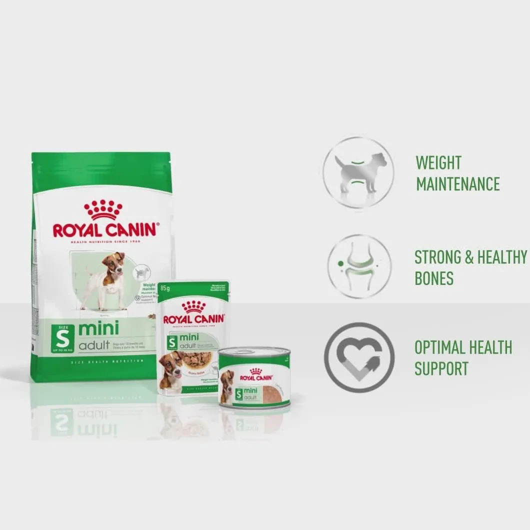 Royal Canin Mini Adult in Sauce | Podwójne opakowanie | 2 x 12 x 85 g | Mokra karma dla małych, dorosłych psów (od 1 do 10 kg) | Od 10 miesięcy do 12 lat | Dostosowana zawartość energii