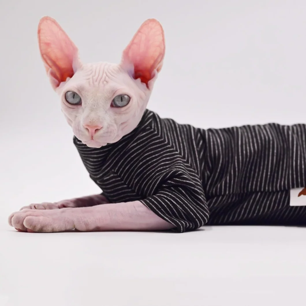 Bezwłosy ubranka dla kotów z czterema nogami, aksamitna, ciepła, jesienno-zimowa odzież dla kota Sfinksa, kot Devon Rex, Cornish (M)