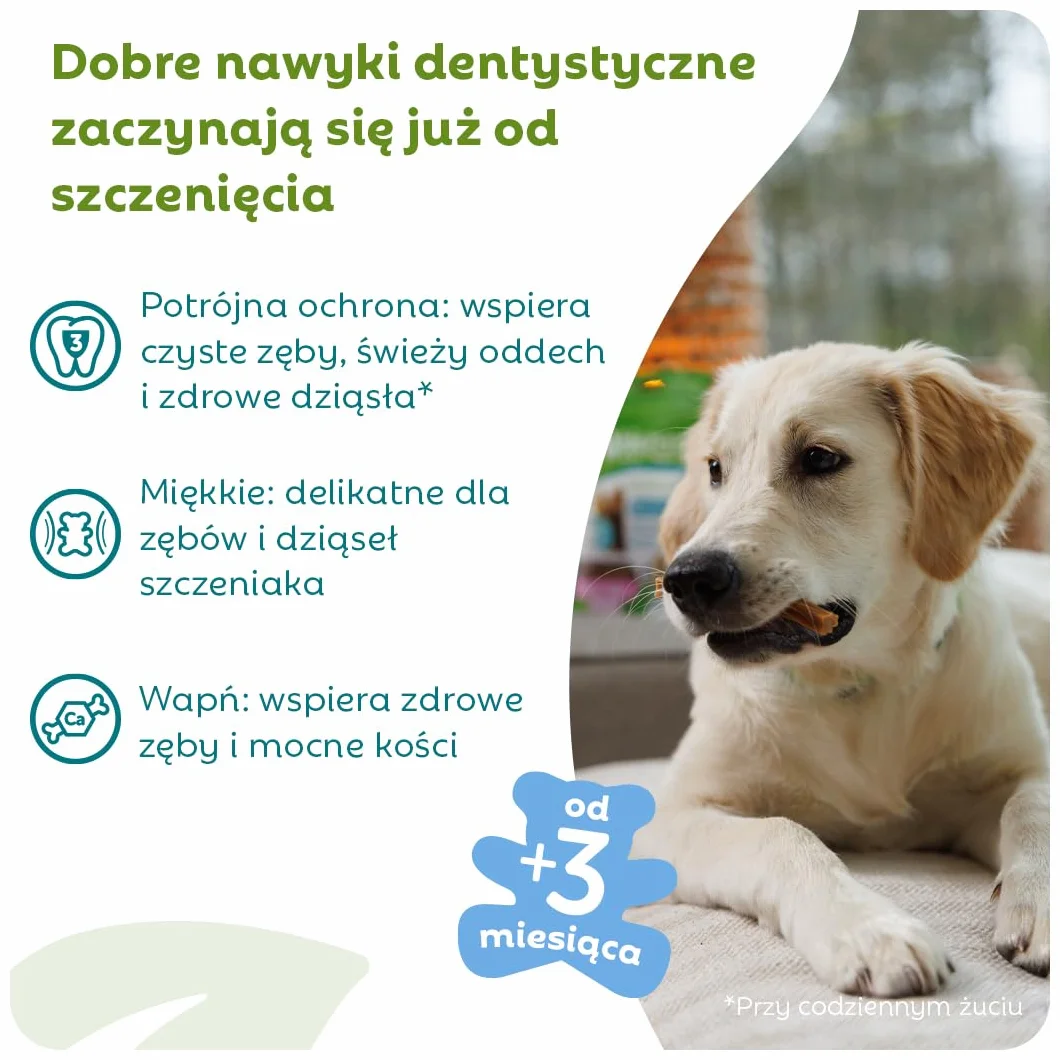 WHIMZEES Puppy Stix XS/S 28 Sztuk Gryzaki Dentystyczne dla Małych Psów Naturalne Bezzbożowe Bez Dodatku Cukru