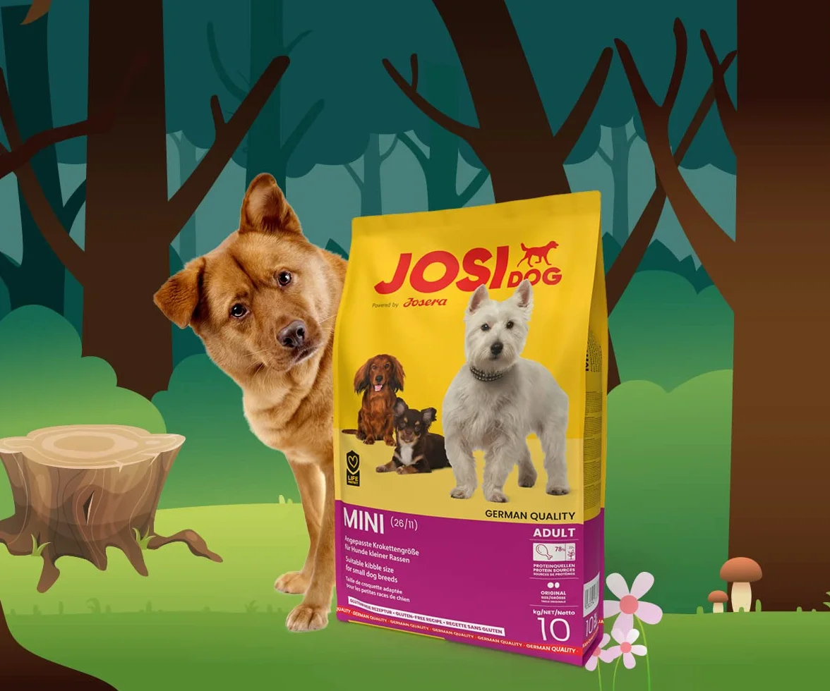 JosiDog Mini (1 x 10 kg) karma dla małych ras, sucha karma premium dla dorosłych psów powered by JOSERA 1 sztuka