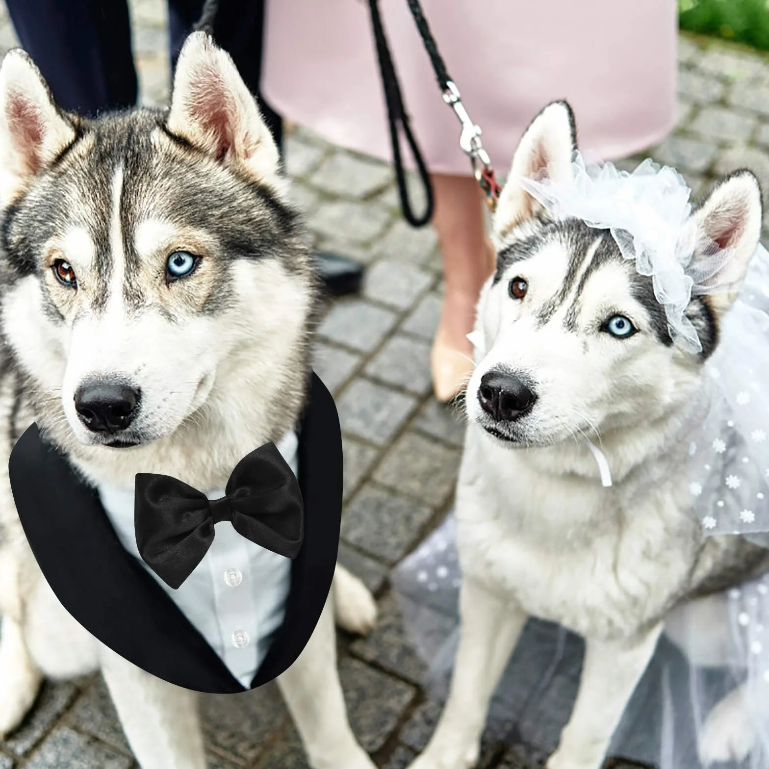 AOFITEE Smoking dla psa, formalny strój dla psa i bandana, delikatny strój weselny dla psa, muszka, koszula, kamizelka, smoking dla zwierząt domowych, strój z odpinanym kołnierzem, na Boże Narodzenie,