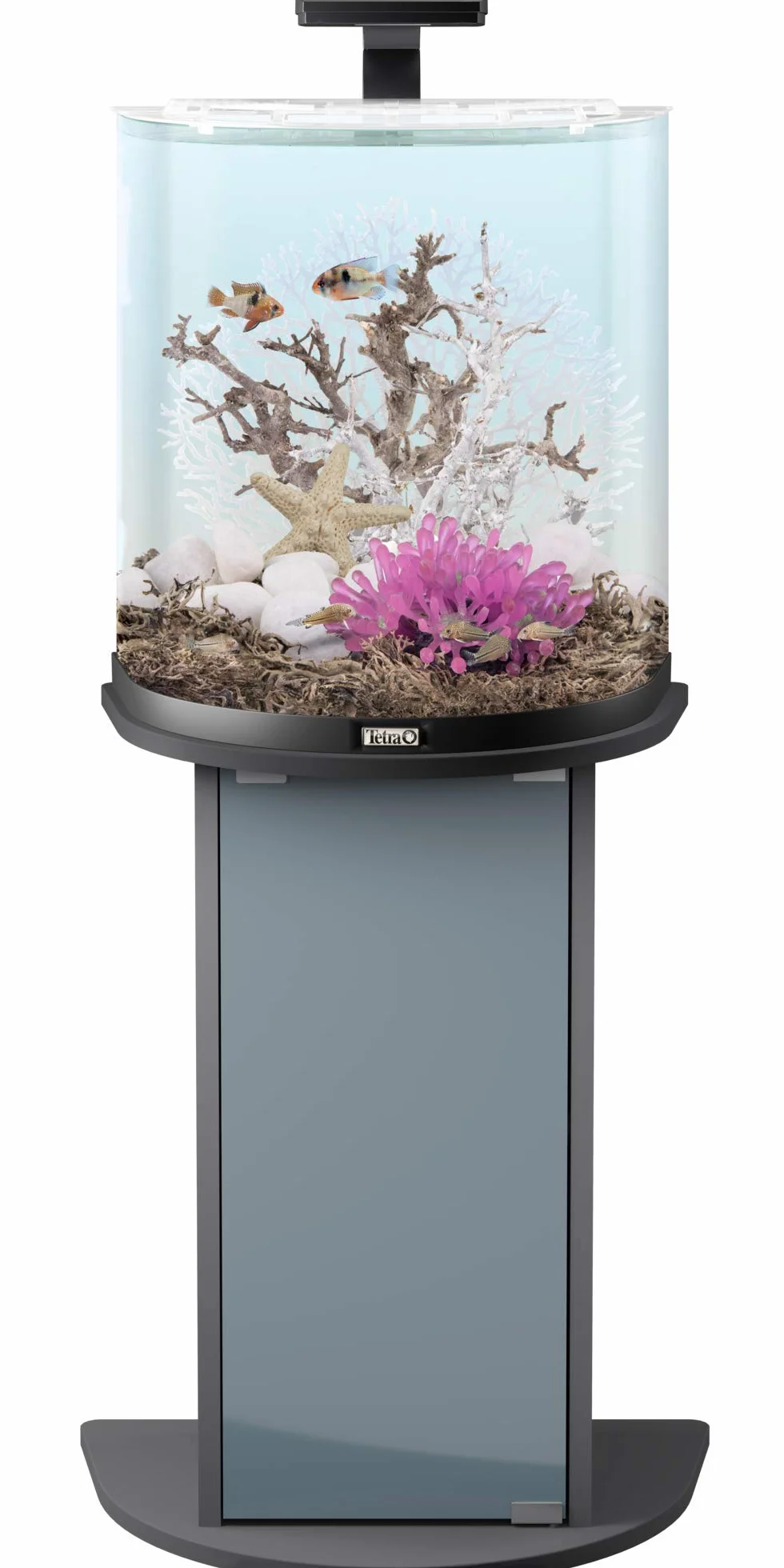 Tetra 236868 Zestaw do Akwarium z Oświetleniem LED Filterm i Ogrzewaniam, 60 l, Czarny