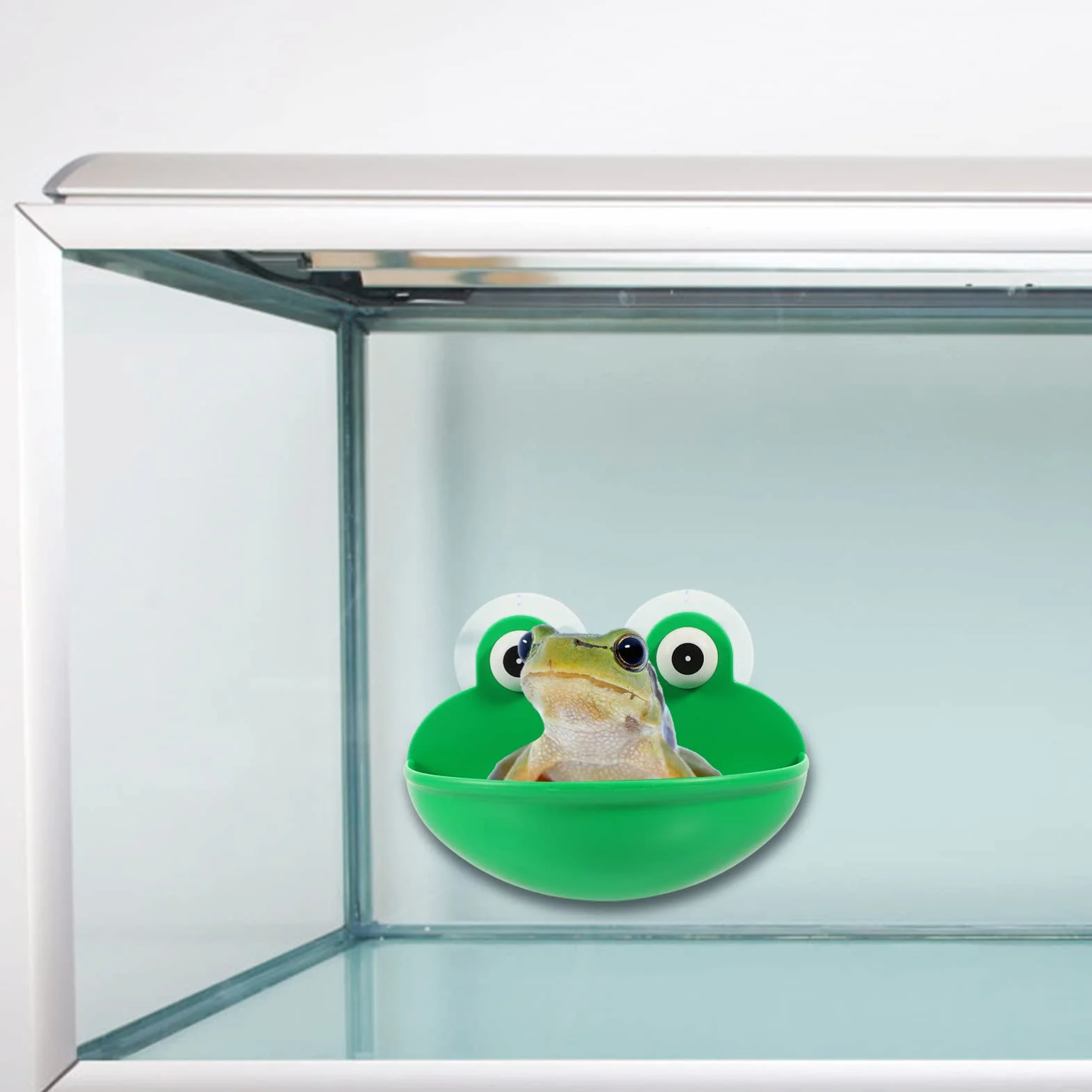 Stolik do odpoczynku dla zwierząt platforma terrarium dekoracja 4