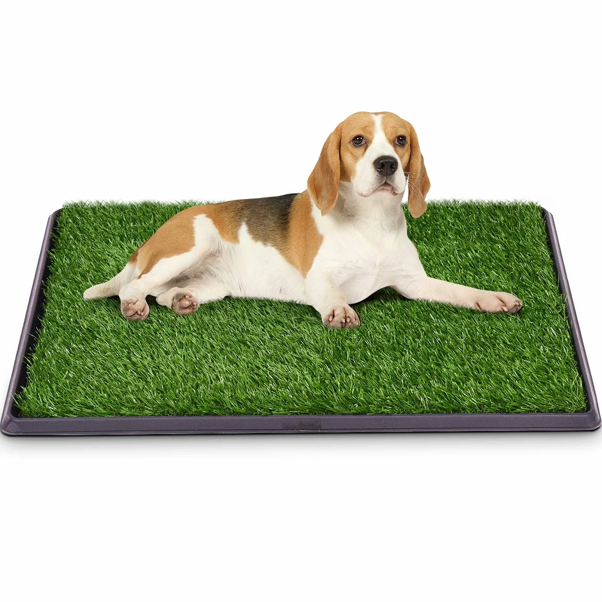 GOPLUS Toaleta dla psa 76 x 51 cm