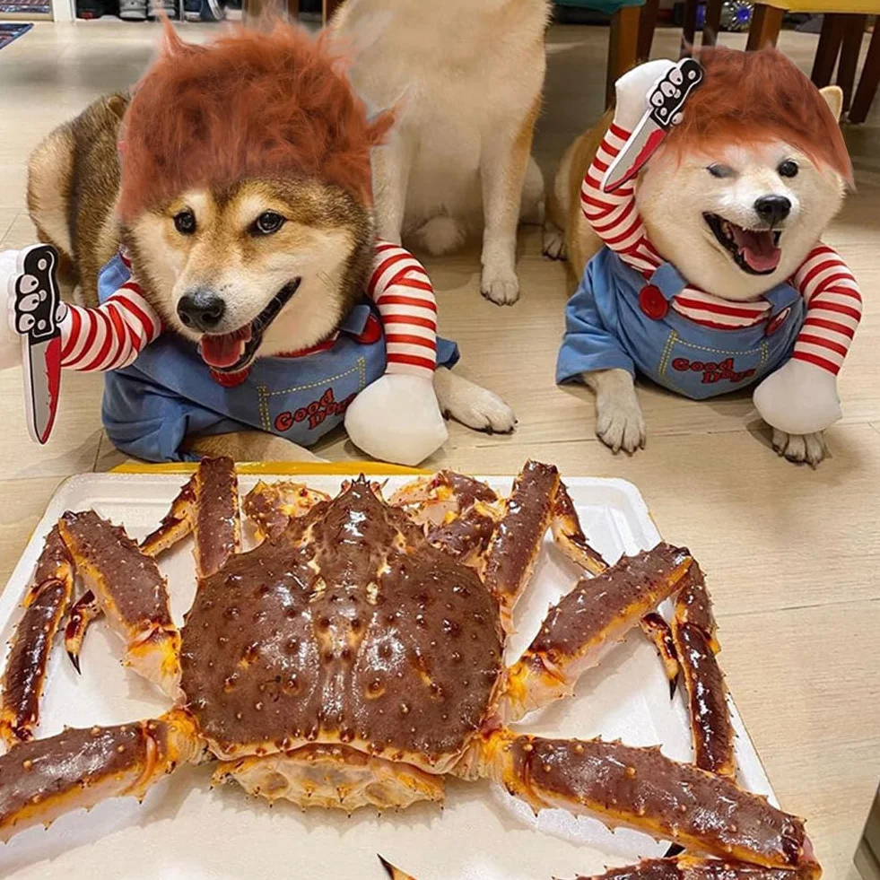 Straszny kostium dla zwierząt domowych na Halloween, cosplay i imprezę