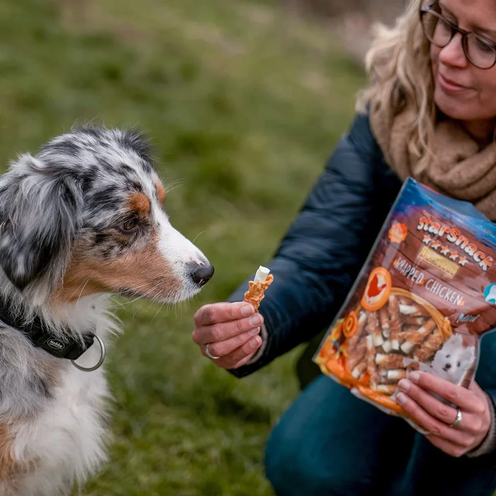 Nobby Starsnack Smaczki, Kurczak, 113 g