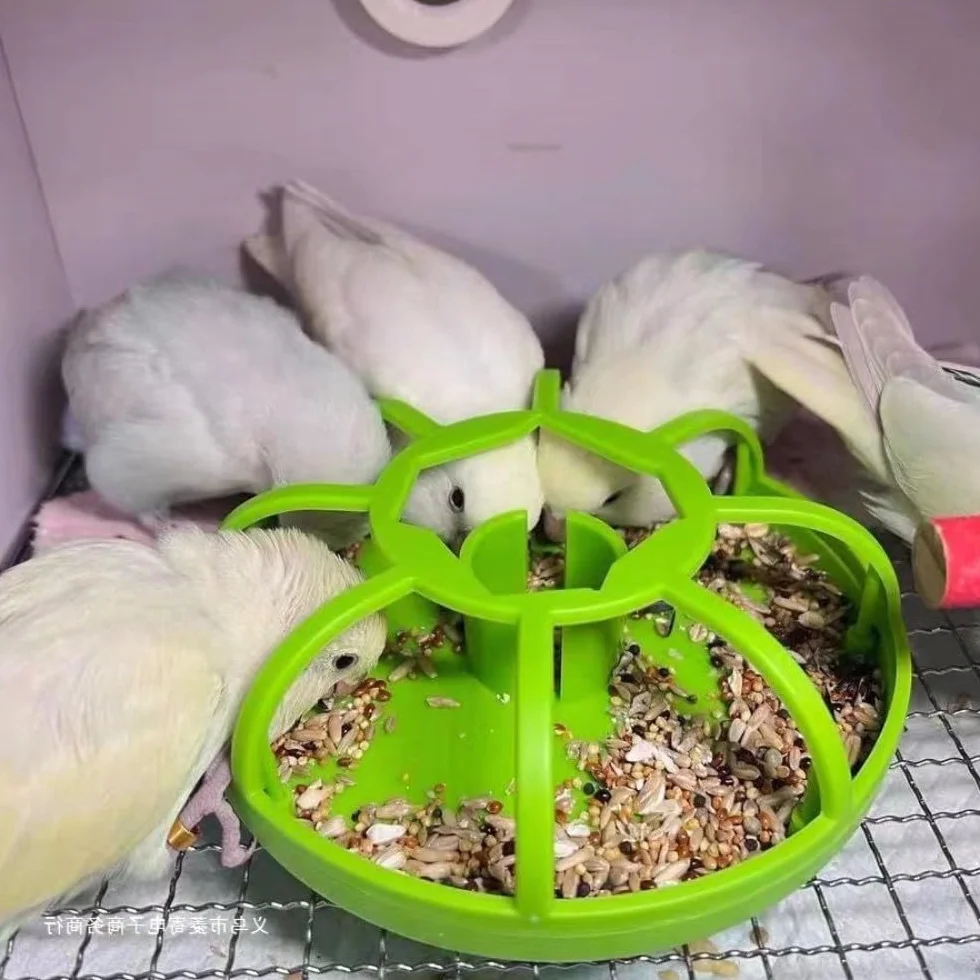 Automatyczny Dozownik Wody dla Gadów i Żółwi
