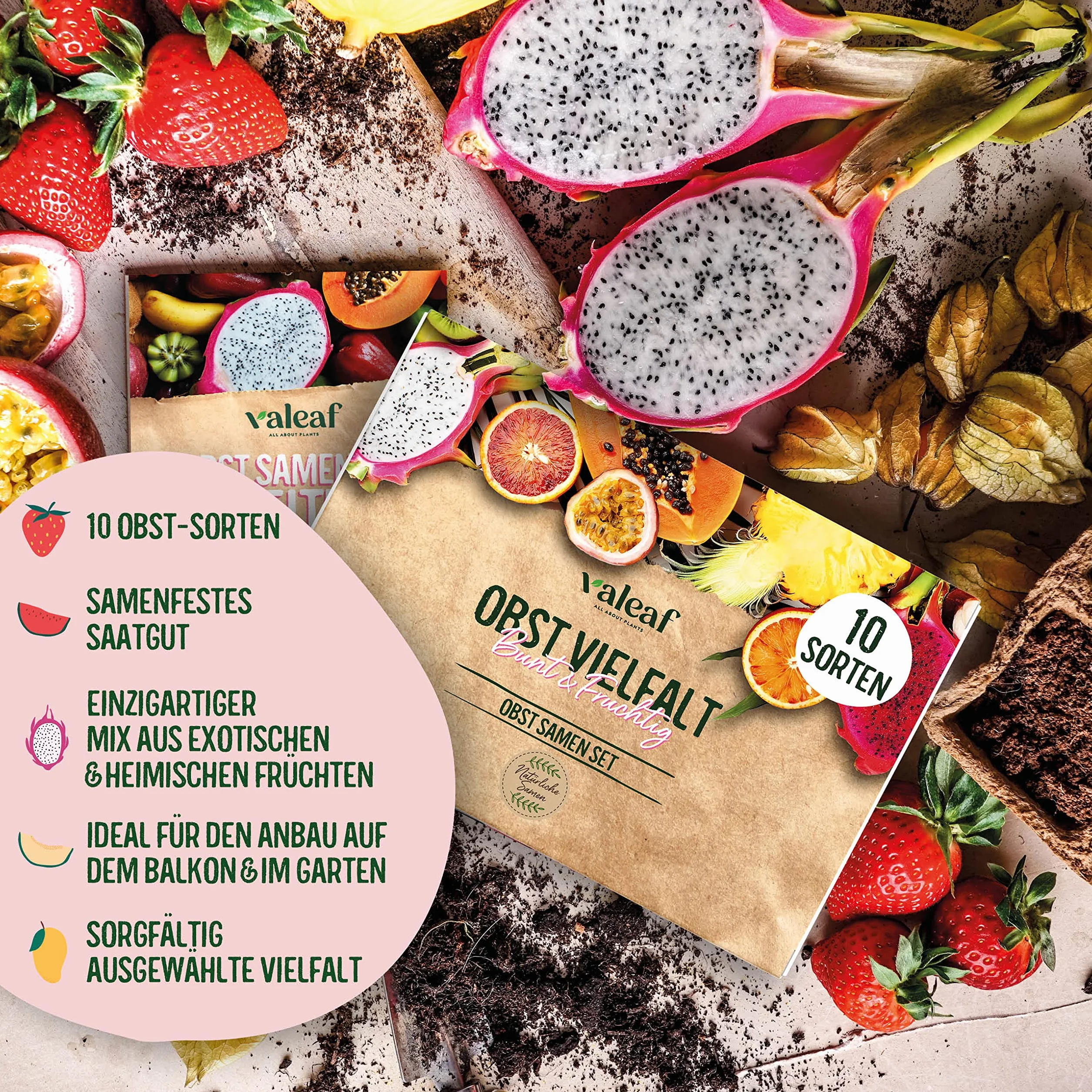 valeaf Obst Samen Set I 10 Sorten Obstsamen I Premium Saatgut Obst I Pflanzen Set inkl. Obst Samen I Erdbeersamen, Melonen Samen, Physalis, Drachenfrucht I Pflanzen Samen I ideales Samen Set Geschenk