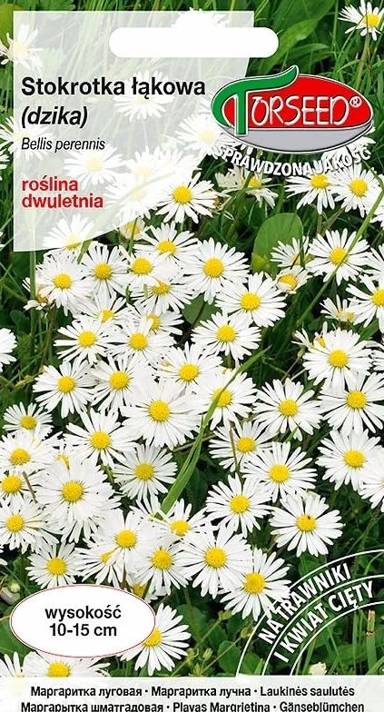 Nasiona Stokrotka łąkowa (dzika) biała 0,2g - Torseed