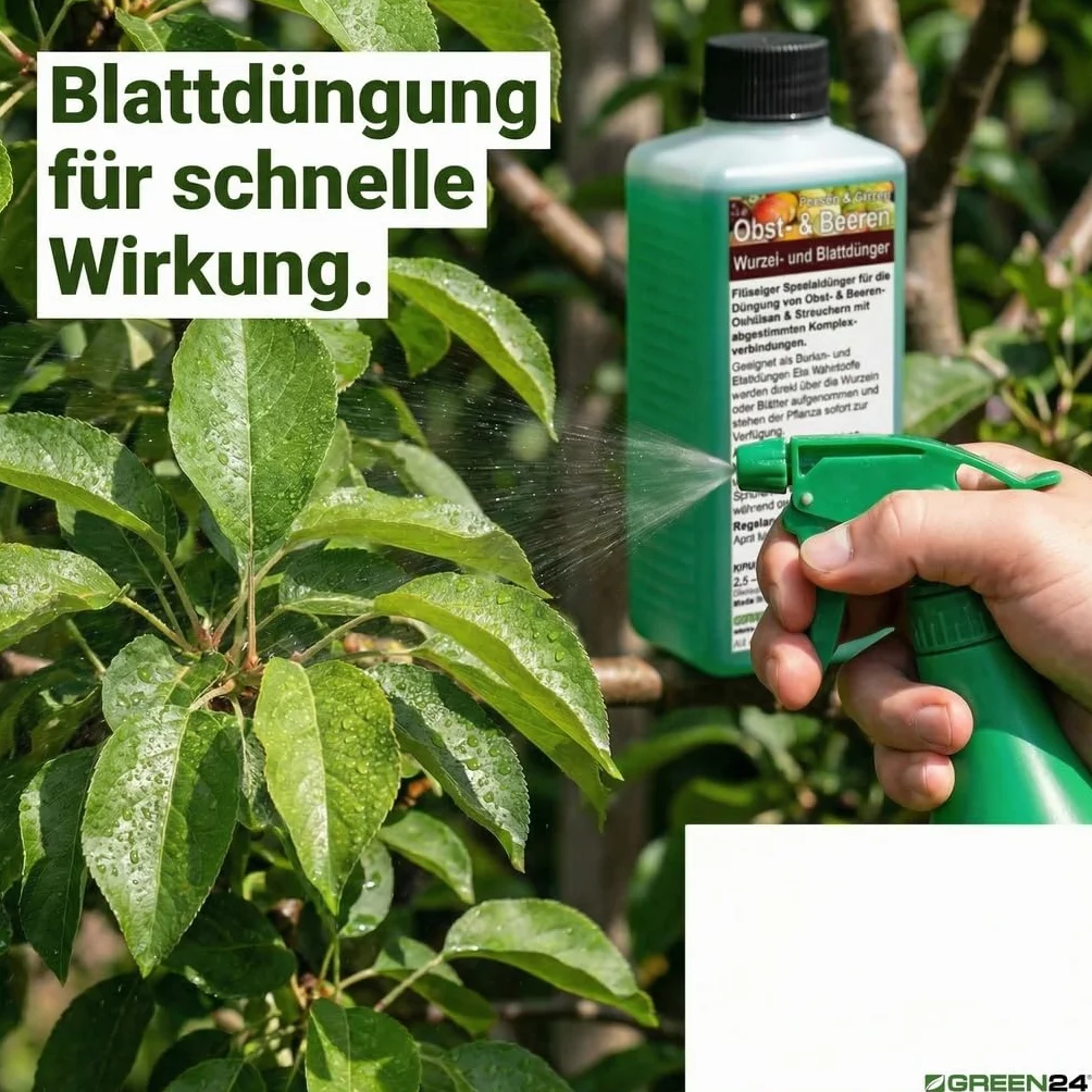 GREEN24 Nawóz do drzew owocowych - specjalistyczny nawóz do drzew owocowych i jagód maliny, gruszy, wiśni, śliwki, borówek, porzeczek NPK 250ml koncentrat